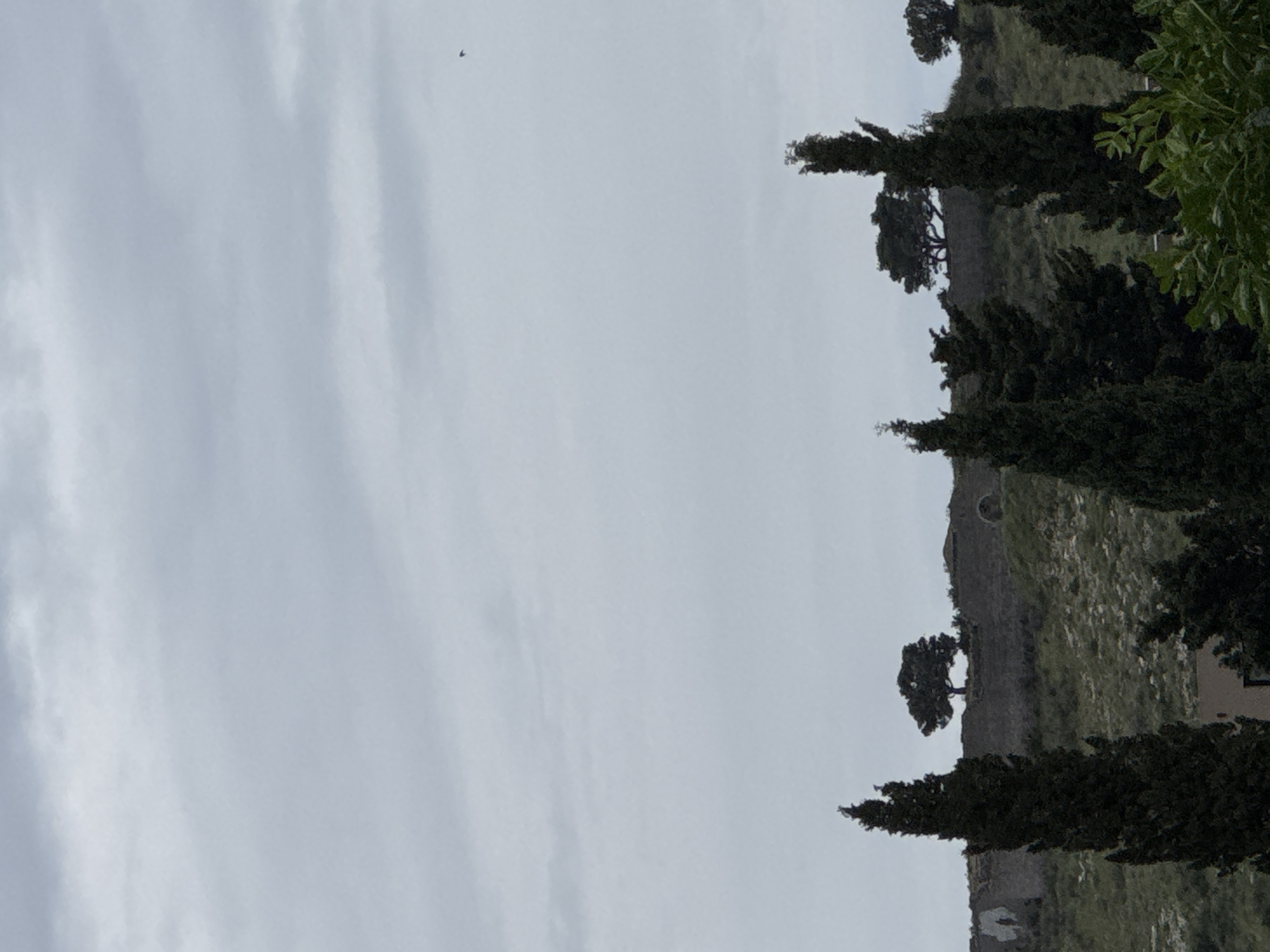 A landscape oriented image shows a hillside in Zankovići, Montenegro. The sky is overcast. A line of trees appears on the right, with a stone wall and grassy hill behind them. A few sparse trees dot the landscape. A small dark object is visible in the upper left sky.