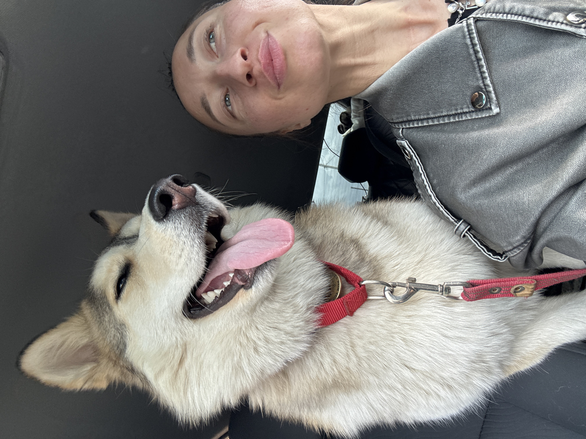 A woman and a dog are in a car. The woman has fair skin and light green eyes and is wearing a light gray leather jacket. The dog is a Siberian Husky with white fur and a red collar. The dog's mouth is open and its tongue is hanging out. The car's interior is dark. The location is unknown and not provided in the image.