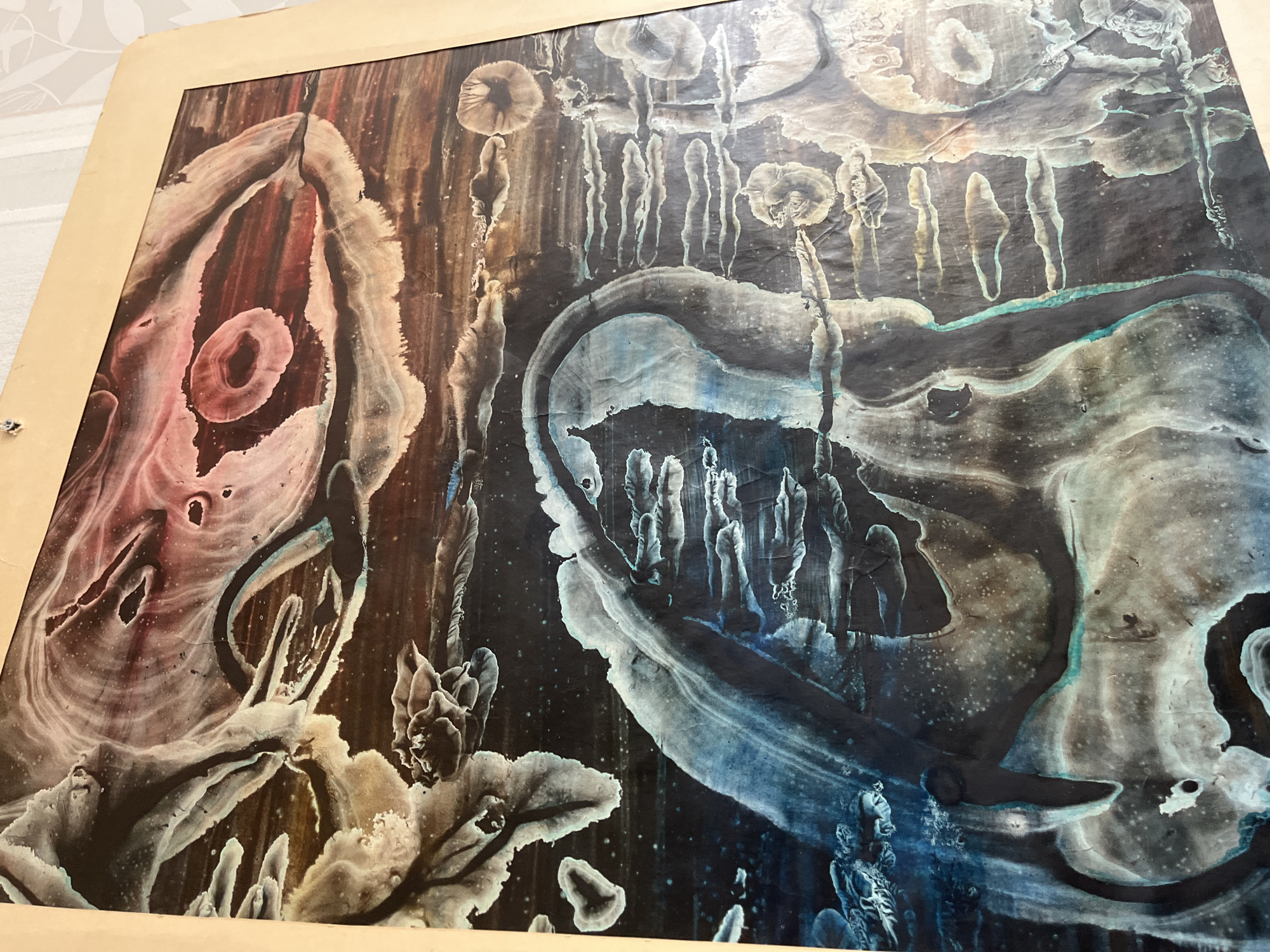 The image shows an abstract artwork, possibly a painting or print, displayed in a frame. The artwork features surreal, flowing forms and patterns in colors ranging from red and brown to blue and white against a dark background. There are elements that resemble organic shapes and figures, but they are highly stylized and ambiguous. Based on the image's composition and abstract nature, it is difficult to pinpoint a specific location in Saint Petersburg or definitively describe the environment depicted.