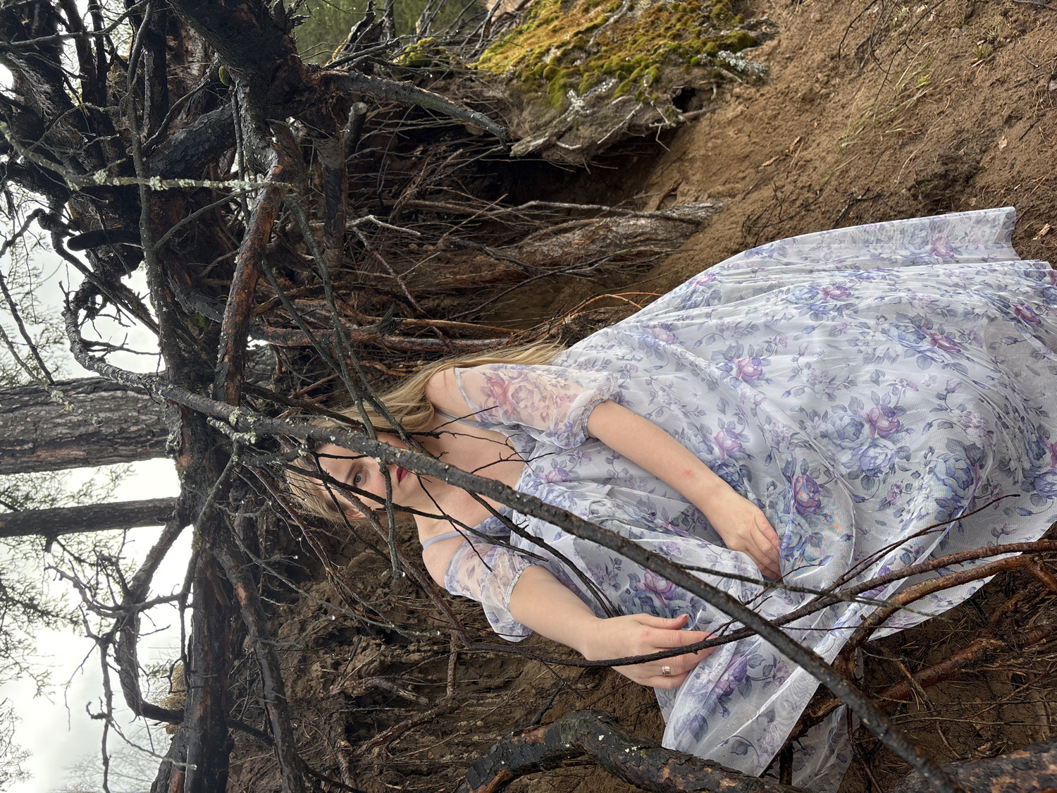 This image, captured in Chaikovsky, Russia, features a young woman reclining amidst a complex network of tree roots and a sandy embankment. She has long, blonde hair and wears a light, flowing dress adorned with a floral pattern of lavender and purple roses on a white or light grey background. Her face is partially visible through the branches, accented by red lipstick. Her arms are bent, and her hands rest gently on her dress, one displaying a ring on her finger.
The woman is positioned on a sloped bank of light brown, sandy soil, with some green moss visible further up the incline in the upper right background. The foreground and left side of the frame are dominated by numerous dark, gnarled tree roots and branches, appearing weathered or damp. A substantial tree trunk extends horizontally from the left. The sky in the background is overcast and light grey, indicating a cloudy day. The scene conveys a natural, wild setting, suggesting a tranquil or contemplative mood. There is no visible text in the image.