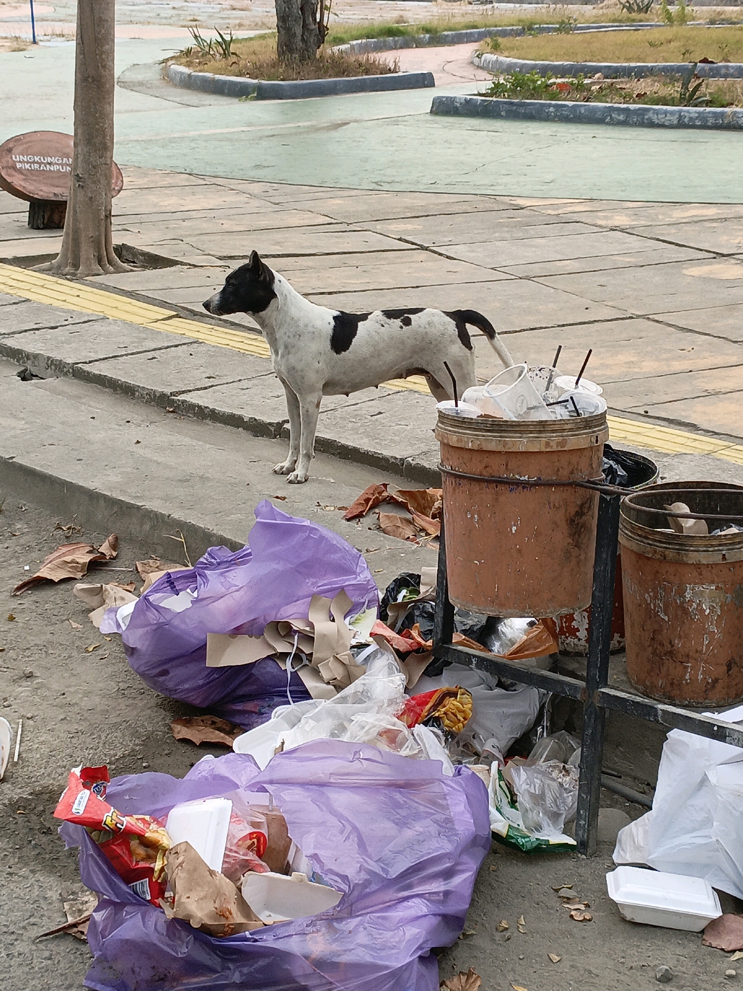 The image depicts a street scene in Bulukumba, Indonesia, characterized by a significant amount of litter. A black and white dog stands on a sidewalk, looking to the left. In the foreground, purple and white plastic garbage bags are overflowing with trash, including food wrappers, cups, and other discarded items. Two large, rusty trash cans are also visible, one of which is filled with disposable cups and straws. The background shows a paved area with some sparse vegetation and a sign in Indonesian. The overall impression is one of urban neglect.