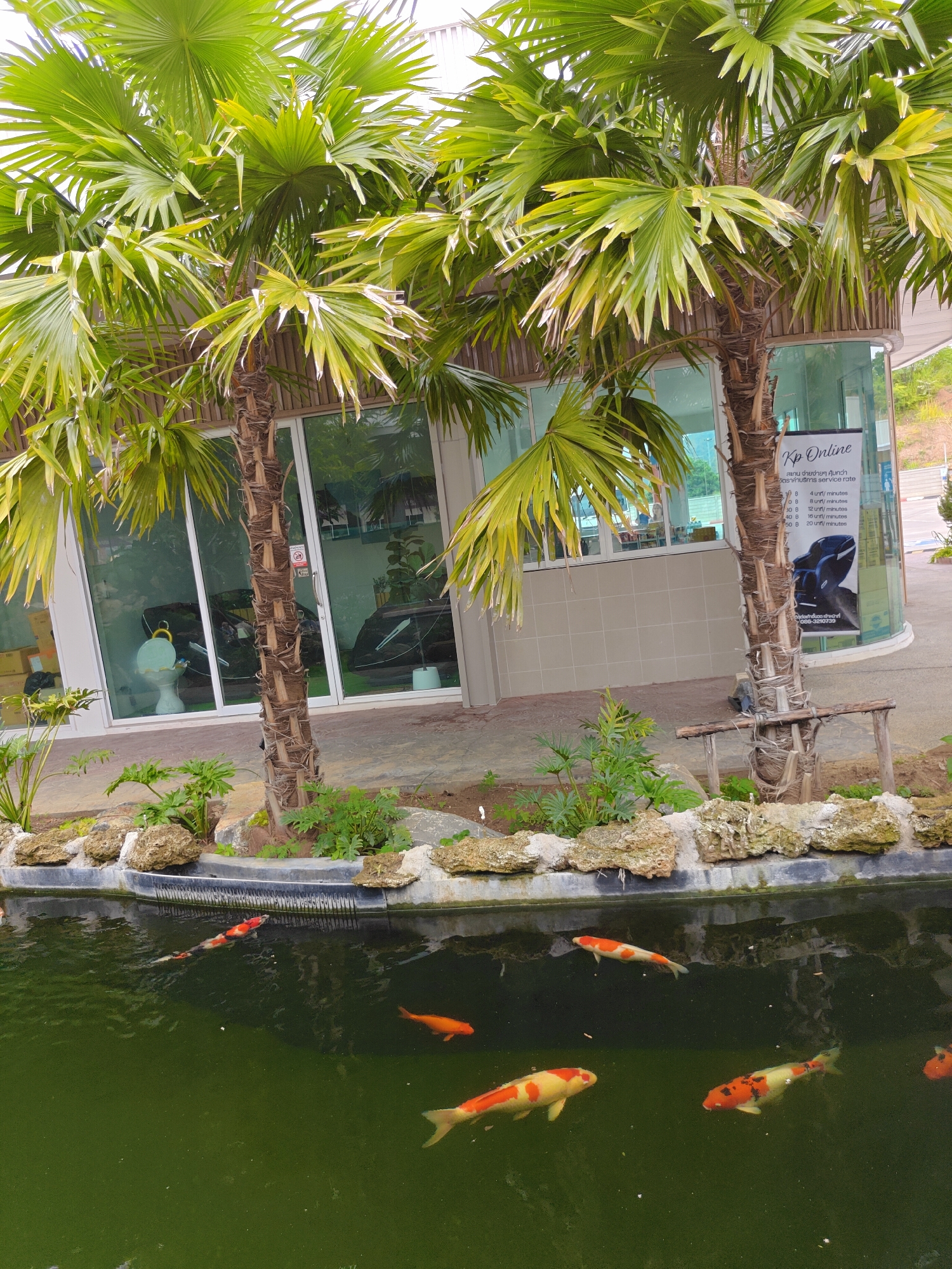 This image depicts a serene outdoor scene with lush palm trees framing a modern building with large glass windows and a koi pond in the foreground. The building's facade features a sign for "Kp Online" which lists service rates in Thai Baht and minutes, and also displays an image of a massage chair. The koi pond, filled with murky green water, is populated by several colorful koi fish, including orange, white, and black varieties. The surrounding environment includes decorative rocks and green foliage. The overall impression is one of a well-maintained, tranquil setting, possibly a commercial establishment or a resort, located in or near บ้านอมรศรี, Thailand.