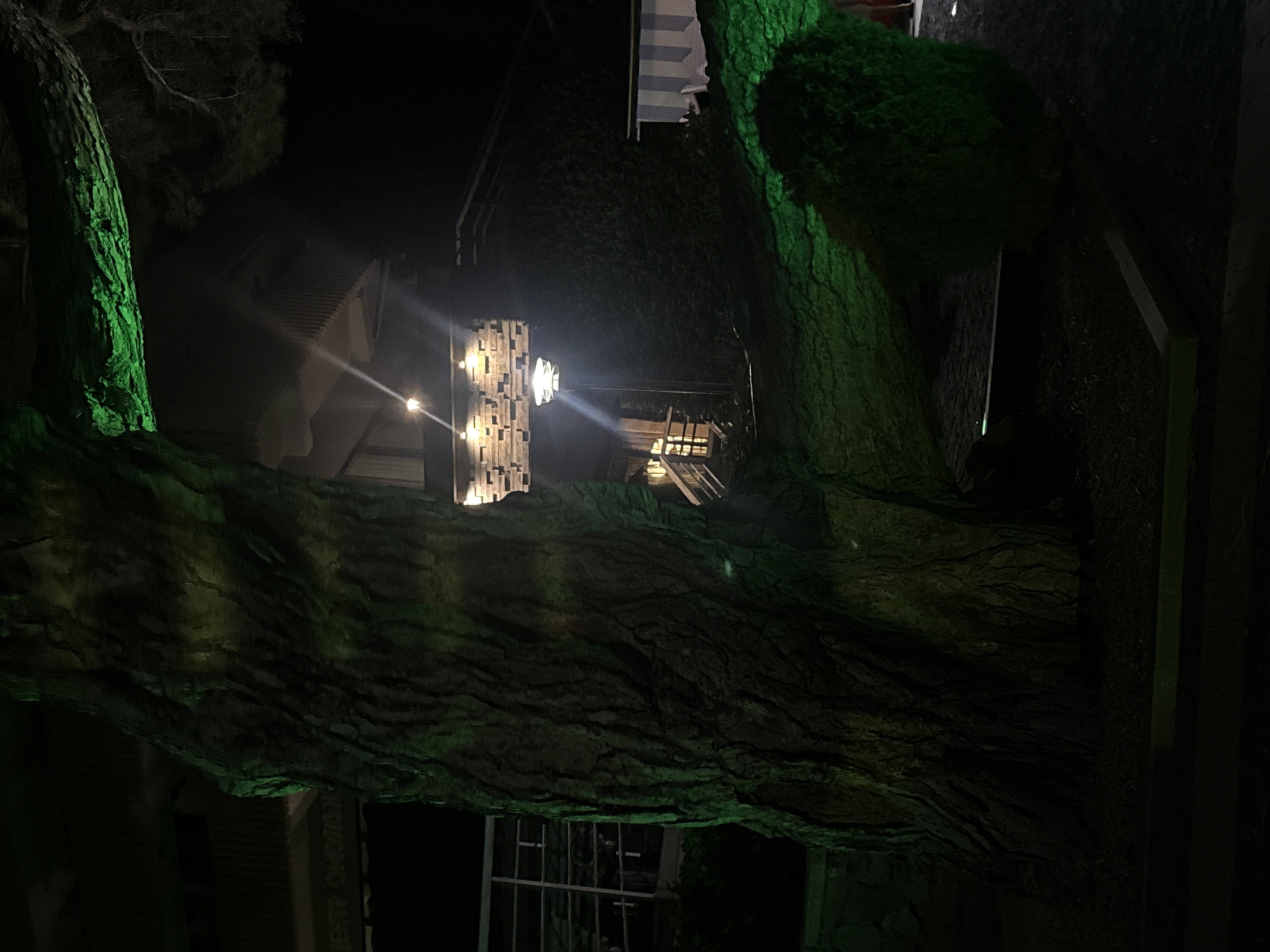 A low-angle, nighttime photograph captures a large, gnarled tree trunk illuminated with green light, positioned in the foreground. The tree's rough bark and thick branches dominate the left and center of the frame. In the background, a building with an illuminated facade and windows is visible, accessed by a staircase. A streetlamp with a diffused light source stands near the staircase, casting a beam of light. To the right, a neatly trimmed bush is also partially lit by green light. The overall scene is dark, with the green lighting creating a dramatic and somewhat eerie ambiance. The text "ЦЕНТР ОНКОЛОГ" is visible on a sign above the building on the left, which translates to "CENTER ONCOLOGY". This suggests the location is likely the Oncology Center in Yalta, Crimea, Ukraine.