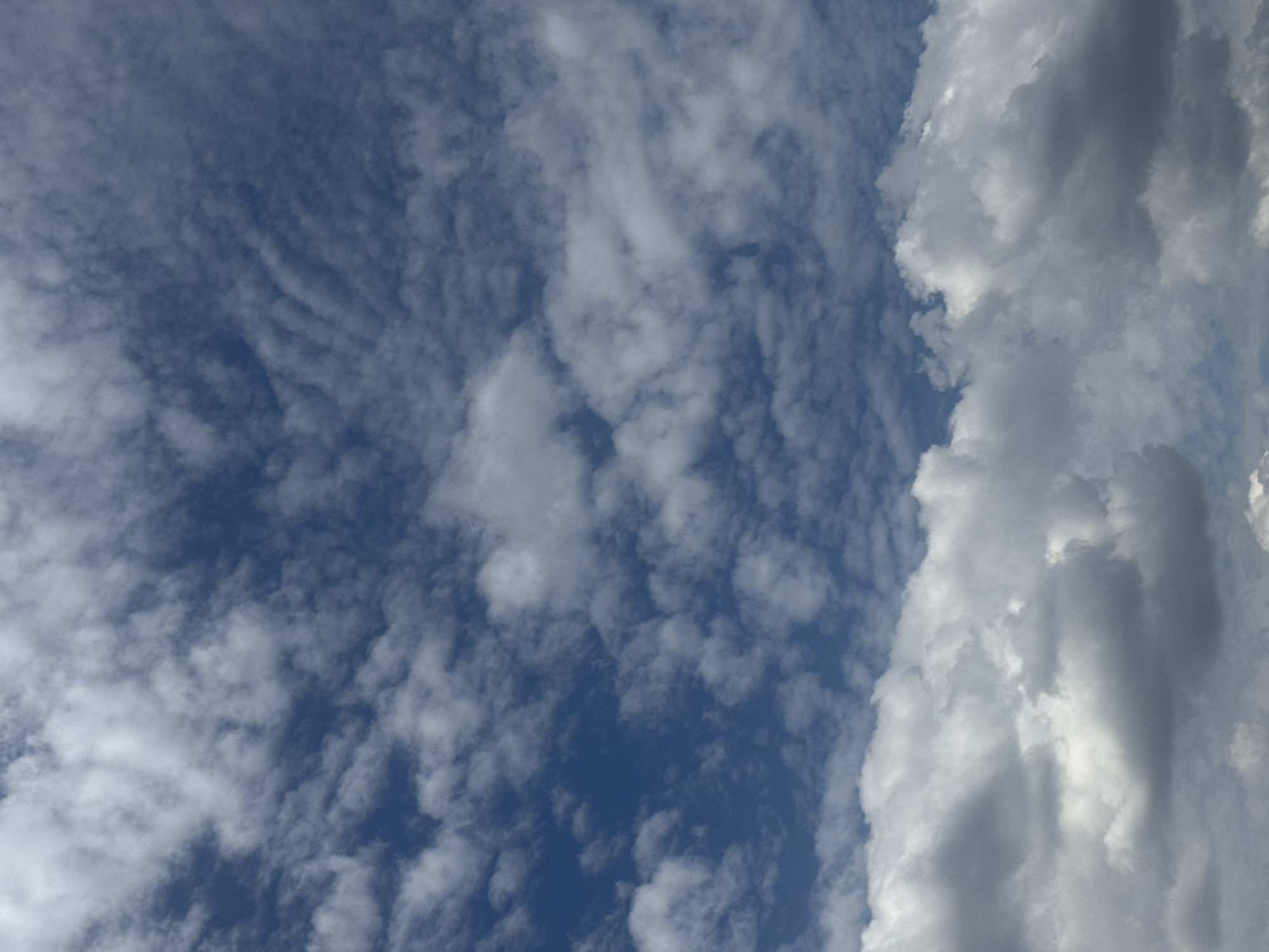 This media file is a photograph of a cloudy sky. The clouds are a mix of white and gray, with some appearing thin and wispy, while others are thick and voluminous. The sky is a deep blue, indicating it is likely daytime. The lighting suggests it could be morning or afternoon, as the sun is not directly visible, but the clouds are well-illuminated. There are no people or objects visible in the image, only the natural elements of the sky. The composition focuses on the textures and forms of the clouds against the backdrop of the blue sky. The location is identified as Zolotonosha, Ukraine, which provides geographical context, but there are no specific visual cues within the image to confirm this location. The overall mood of the image is calm and serene, focusing on the beauty of the sky. There is no visible text in the image.