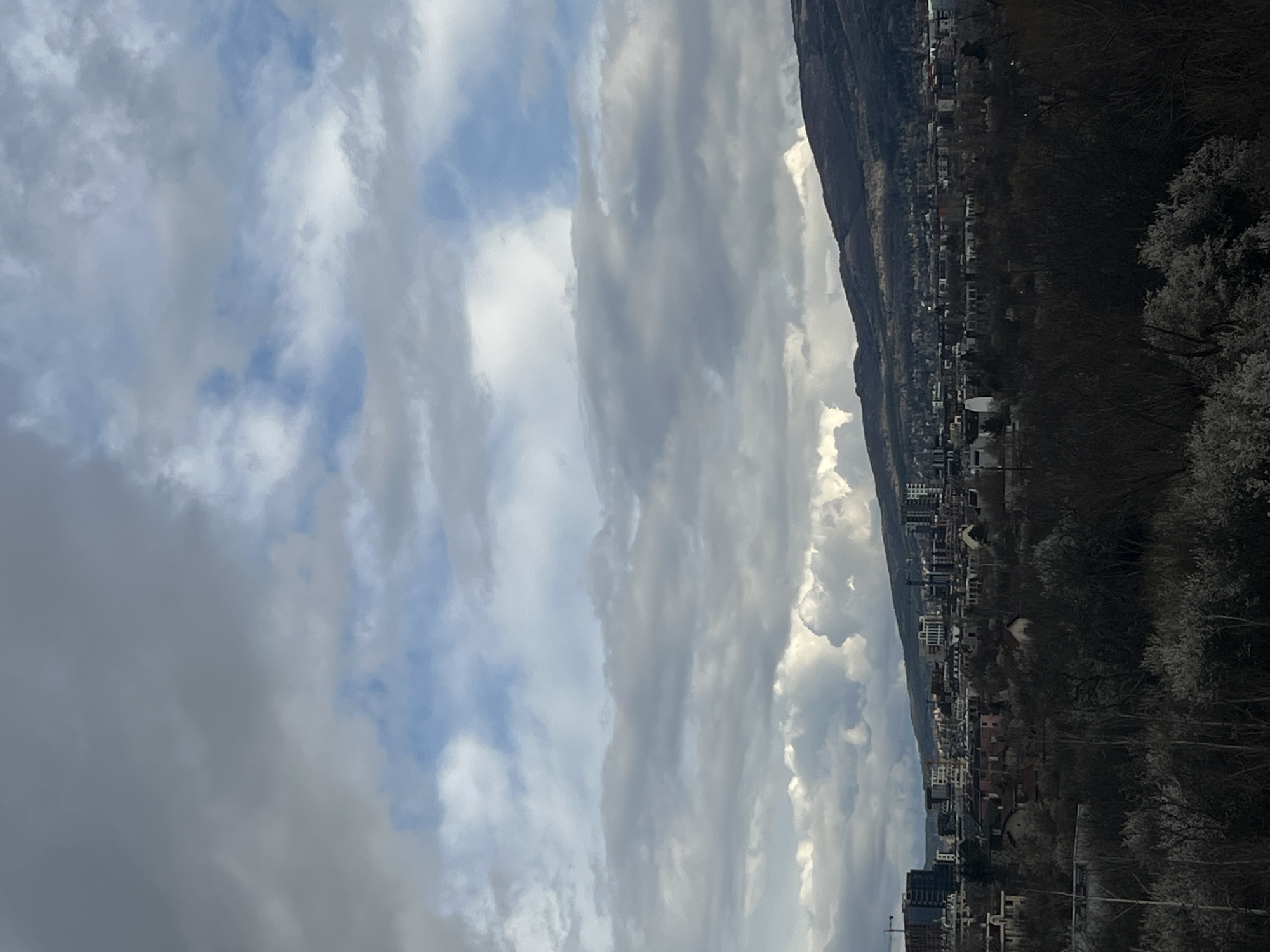 The image depicts a cityscape against a backdrop of a mountain and a sky filled with clouds.
**Location:** Likely Sofia, Bulgaria, given the built environment and mountain range visible. The specific location is undetermined.
**Environment:** An urban environment with trees and buildings.
**Objects:** Buildings of varying heights and designs, including some high-rise structures. Dense trees are present, some appearing bare or frosted. A mountain range is visible on the right. The sky has a mix of dark and light clouds, indicating possibly an overcast weather or a change in weather conditions.
**Actions:** Undetermined
**Interactions:** Undetermined
**People:** Not visible in the image.
**Subjects:** Landscape consisting of urban area, trees, mountain and sky.