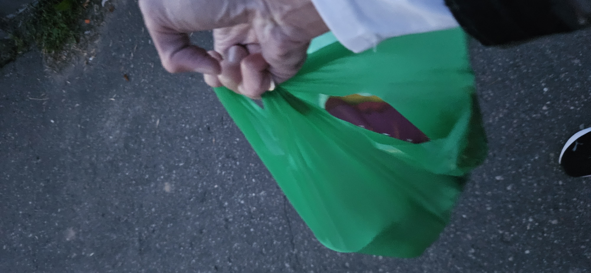 A person's hand is holding a bright green plastic shopping bag. The bag appears somewhat transparent, revealing a glimpse of what is inside, which includes areas of dark red and possibly yellow. The hand is gripping the top of the bag, with fingers curled around the handles. The background consists of a dark asphalt surface, possibly a sidewalk or road, with some sparse grass and debris visible on the right side. A small portion of a white shirt sleeve is visible on the right edge of the image, and the toe of a black and white shoe is visible at the bottom center of the frame. The lighting suggests it is either early morning or late evening. The scene is consistent with an outdoor urban environment in Vitsebsk, Belarus.