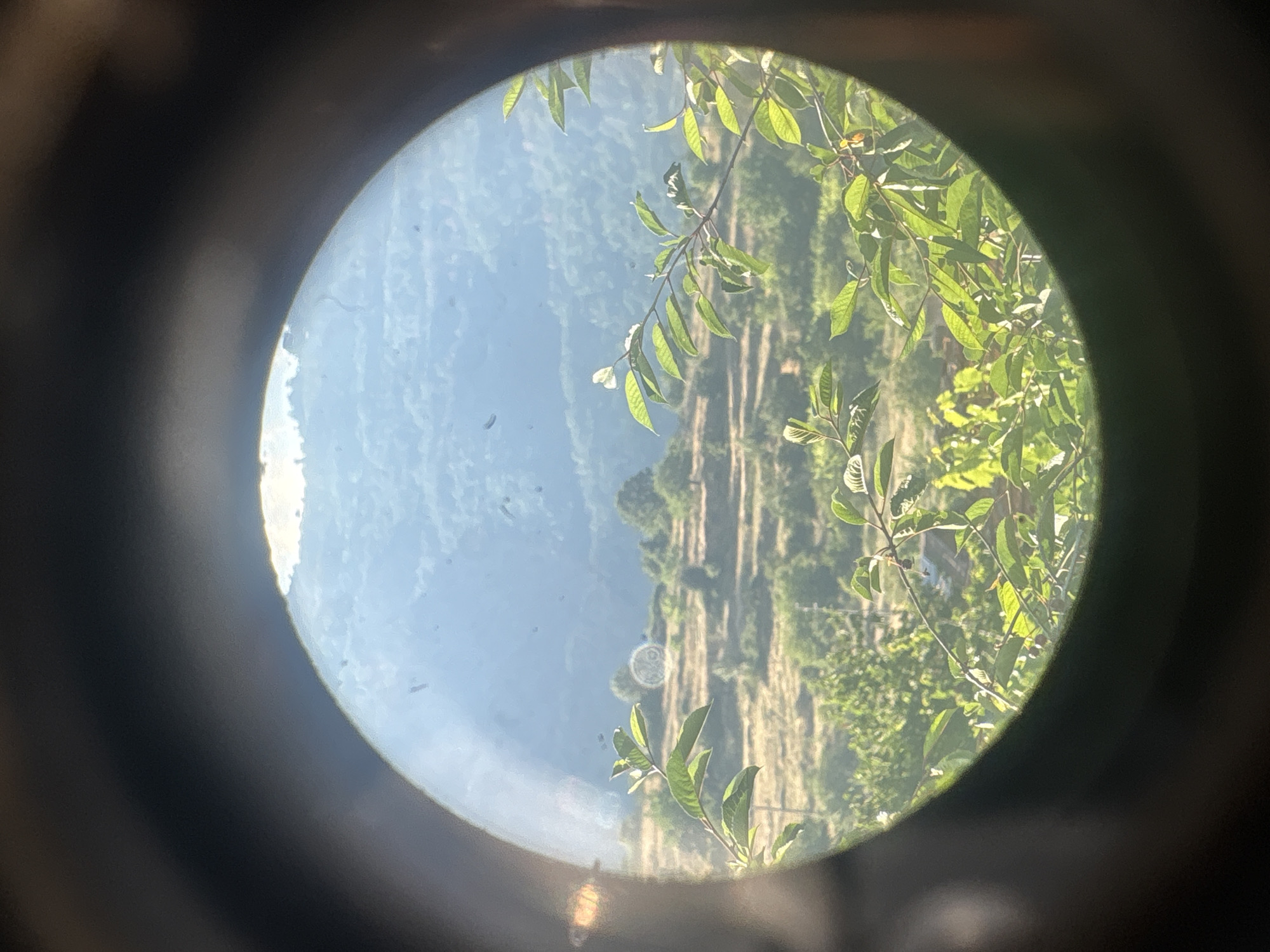 The image is a photograph taken through a circular lens, possibly from a telescope or binoculars, looking out at a sunlit rural landscape. In the foreground, green leaves and branches of trees are in sharp focus, with some slightly out of focus due to the lens's depth of field. Beyond the foliage, a hillside is visible, with terraced fields and scattered trees. In the background, a hazy, mountainous terrain stretches towards a pale blue sky. There are a few small dark specks floating in the air, likely dust or insects, visible against the sky and distant hills. The overall scene depicts a serene, natural environment bathed in warm sunlight, suggesting a clear day. The specific location mentioned in Strelcha, Bulgaria, would imply a Balkan mountainous region.