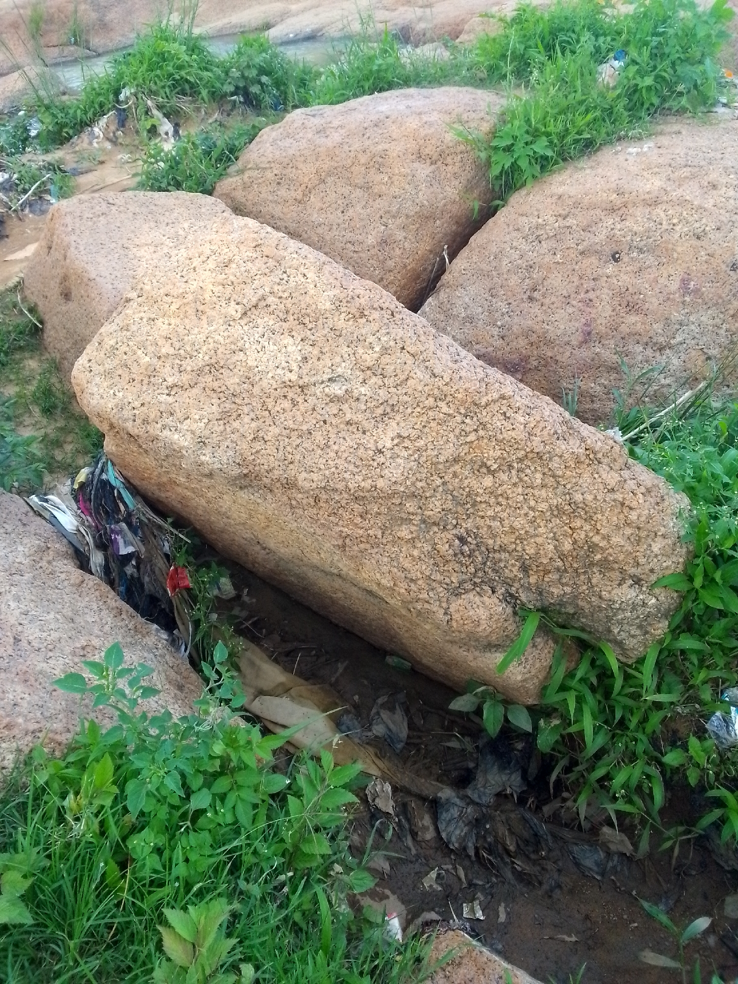 The image shows a pile of large, light brown boulders on uneven, muddy ground covered with green grass and some litter. The boulders are of varying sizes and shapes, with one large, elongated boulder prominently positioned in the foreground, partially obscuring a narrow channel of dark, wet earth. This channel is filled with various types of debris, including plastic bags, colorful scraps of fabric, and what appears to be dried leaves.
Green vegetation, consisting of grass and leafy plants, grows around and between the boulders, and in patches on the surrounding ground. In the upper left and upper right portions of the image, more vegetation is visible, and a hint of a shallow, rocky stream or water channel can be discerned. The overall scene suggests an outdoor, natural or semi-natural environment that has been affected by human activity, particularly in terms of litter accumulation.
The location is identified as a rocky area near the city of Jos, Nigeria. The specific site appears to be a natural accumulation of boulders, possibly in a less developed or a transitional area between urban and natural landscapes. The presence of litter indicates a potential issue with waste management in the vicinity. There are no people visible in the image. The lighting suggests it is daytime, likely overcast or late afternoon, given the soft shadows. The scene is static, depicting a moment in time without any ongoing action.