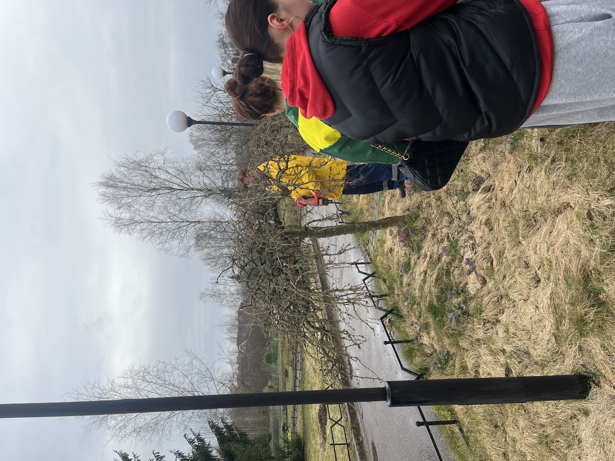 The image depicts an outdoor scene, possibly in a park in Saint Petersburg, Russia, given the typical architecture and vegetation.
**People:**
* Two women are visible from the back, walking side-by-side. One wears a red hoodie under a black vest and grey trousers. The other wears a yellow and green jacket.
* A person in a yellow raincoat is further away, appearing to be working on a tree with tools.
**Subjects:**
* Trees, many without leaves, are prominent in the landscape.
* Ground covered in dry grass, with some patches of green and purple flowers.
* A road or path is visible.
* Streetlights are spaced along the walkway.
**Objects:**
* Black metal railings are along the path.
* A handbag with a gold chain strap is visible on one of the women.
* Possible gardening tools are held by the person in the yellow coat.
**Actions:**
* The two women are walking.
* The person in the yellow raincoat is actively working on the tree.
**Interactions:**
* The women appear to be together, walking in the same direction.
* The person is pruning a tree.
**Environment:**
* An overcast sky suggests a cloudy day.
* Buildings or structures are visible in the distance.
* The general environment is that of a maintained park setting.
