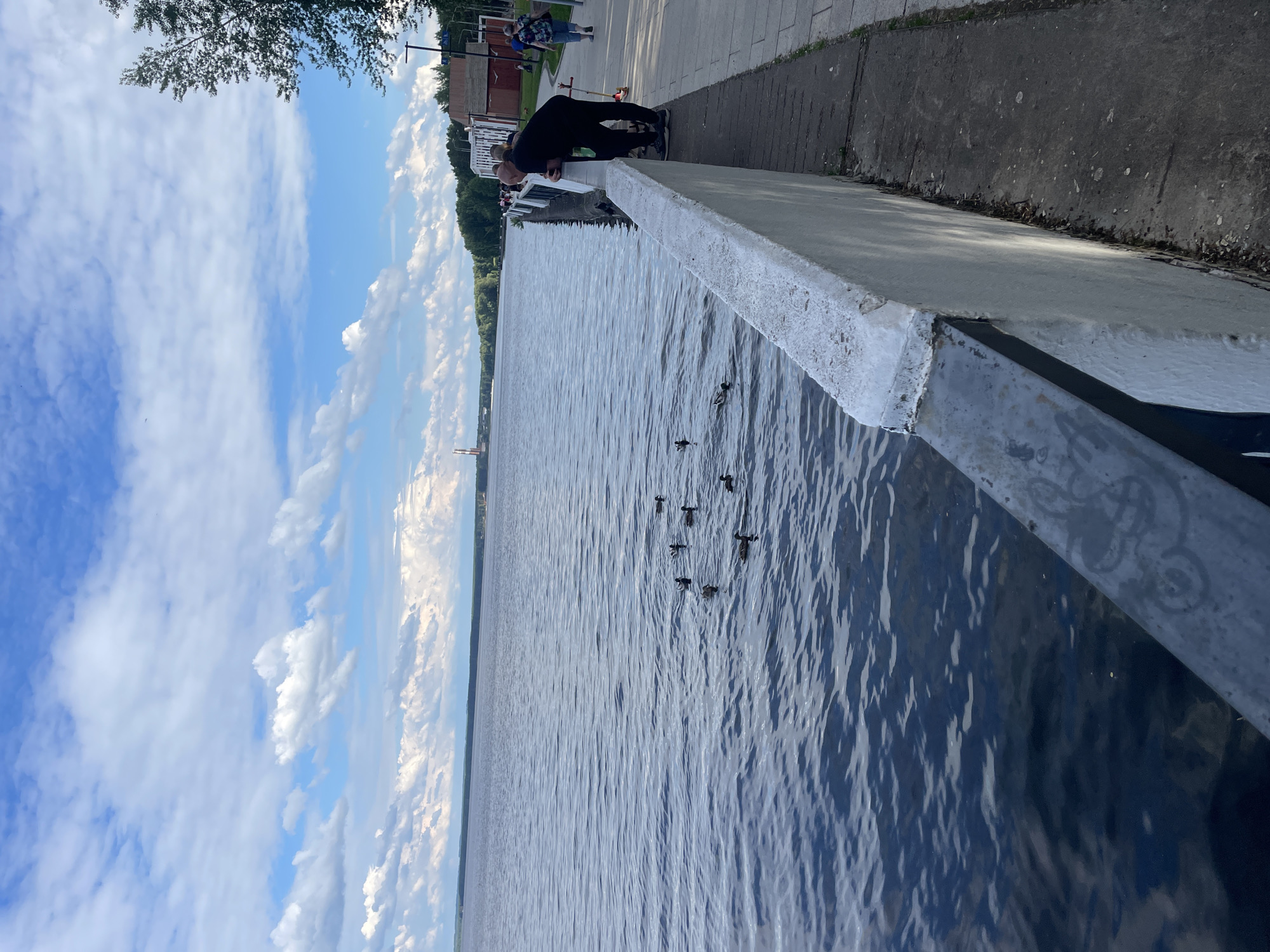 The media file is a photo taken in Chaikovsky, Russia. It depicts a waterfront scene on a clear day with scattered clouds. The foreground shows the edge of a concrete embankment, with a body of water, likely a river, stretching out into the distance. Several ducks are visible swimming on the water.
On the embankment, a person dressed in black is leaning over the railing, looking down at the water. Further along the embankment, other people and some buildings are visible, suggesting a public area like a promenade or park. The time of day appears to be daytime, given the brightness of the sky and the shadows cast. The weather seems pleasant, with the sun shining and a light breeze creating ripples on the water.
The overall mood of the image is peaceful and serene, capturing a moment of leisure by the water. There is no visible text in the image.