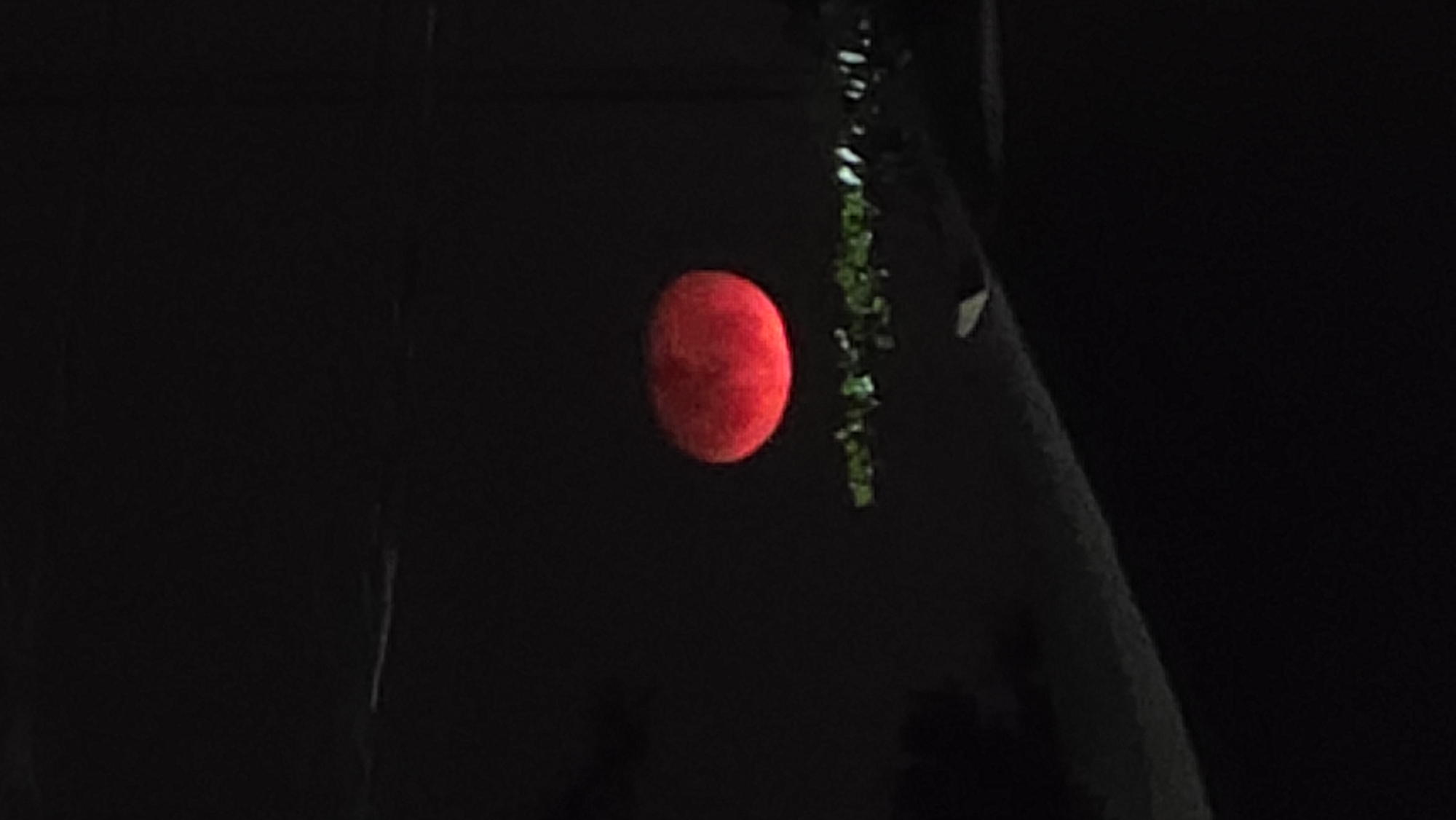 A red orb is suspended in the dark, next to a string of green vegetation. The scene is generally dark. The location is Bac Natural Heritage Area Trang, Vietnam.