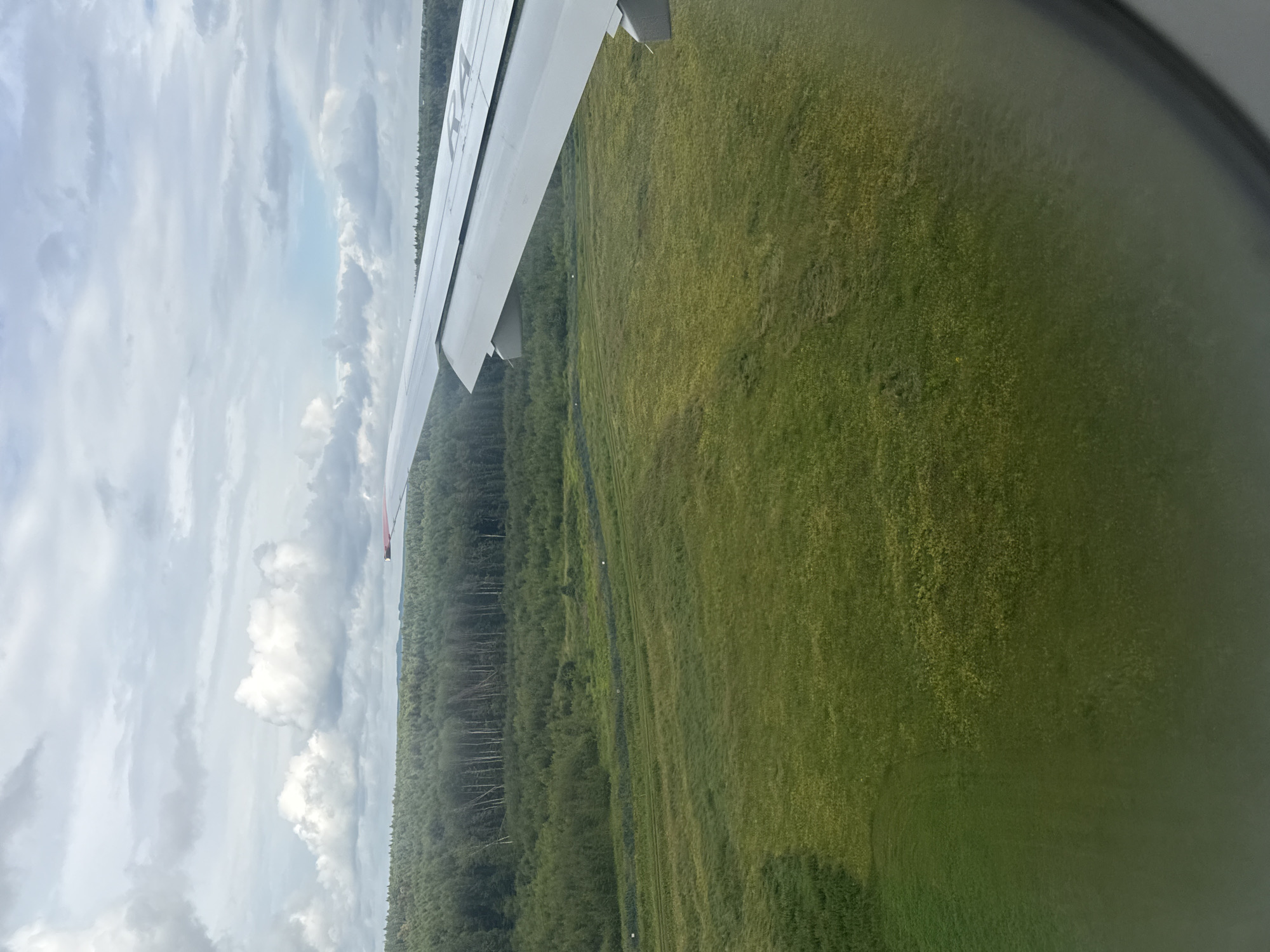 The image is taken from an airplane window, showing a view of a rural landscape under a cloudy sky. In the foreground, the edge of an airplane wing is visible, extending from the right side of the frame. The wing is white with some markings on it, possibly aircraft registration numbers. Below the wing, a vast expanse of green grassland stretches out, with some patches of yellow flowers. A darker strip of vegetation, likely a forest or a line of trees, borders the grassland in the middle ground. In the distance, the tree line continues, and the horizon meets the sky, which is filled with a mixture of white and gray clouds. The overall impression is one of a vast, open, and natural environment. The location is the city of Staroe Mart'yanovo, Russia, which is a rural area with open fields and forests.