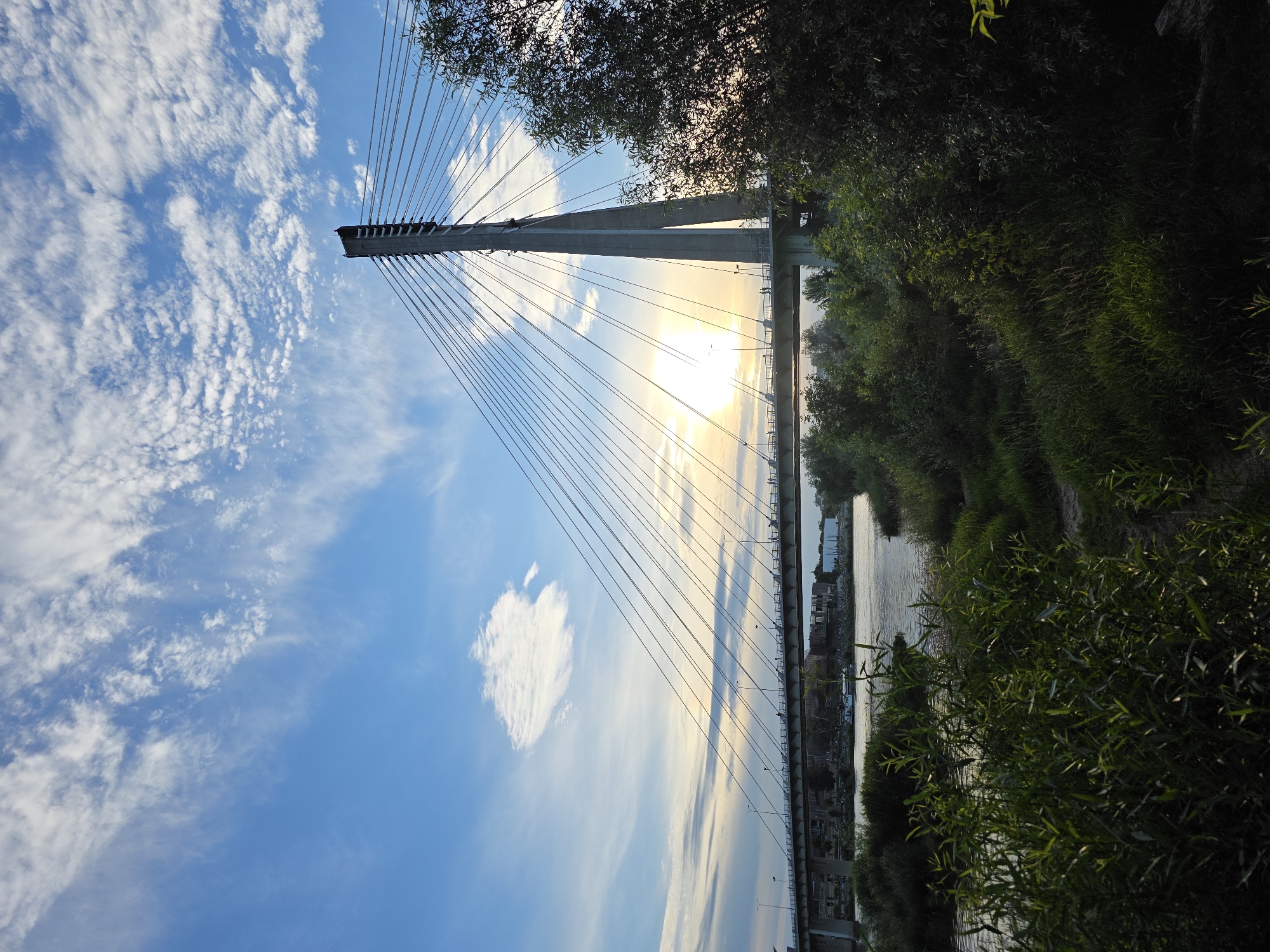 The image shows the Świętokrzyski Bridge in Warsaw, Poland, at sunset. The bridge is a cable-stayed bridge spanning the Vistula River. A large concrete pylon stands tall, supporting numerous cables that stretch out to the bridge deck. The sun is setting behind the bridge, casting a warm glow and creating a silhouette against the blue sky dotted with white, wispy clouds. The river is visible in the foreground, with lush green vegetation lining its banks. The bridge is illuminated with streetlights, and a few distant buildings are visible on the far bank. The scene captures a serene moment as day transitions into night over the cityscape.