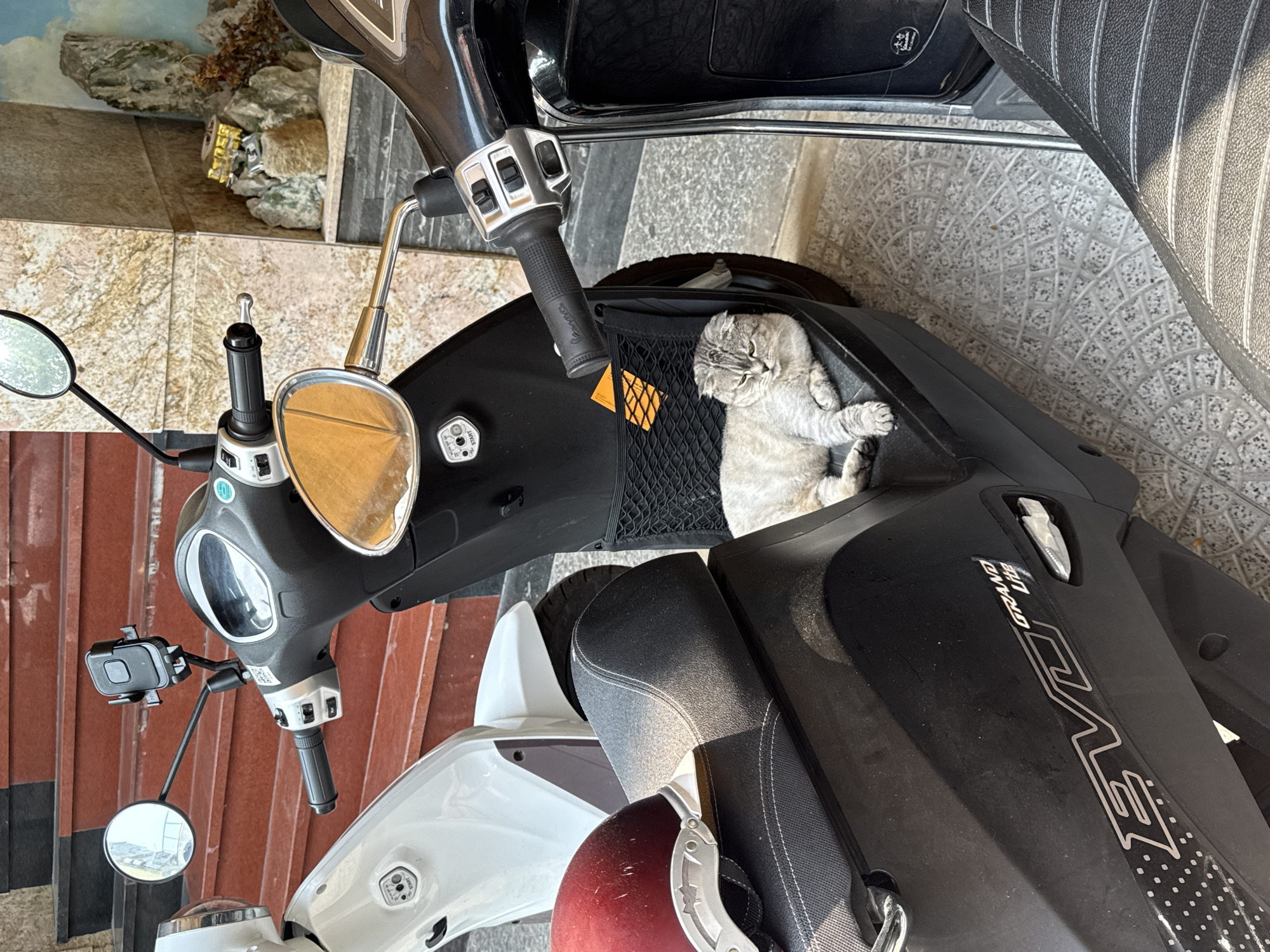 A gray tabby cat is resting in the storage compartment of a black scooter. The scooter is parked on a tiled surface. A white scooter is partially visible beneath the black one, and a red helmet is placed on the seat. The scooter is in front of a wall that looks like an outdoor living room. Đà Nẵng, Vietnam, is not verifiable from this image.