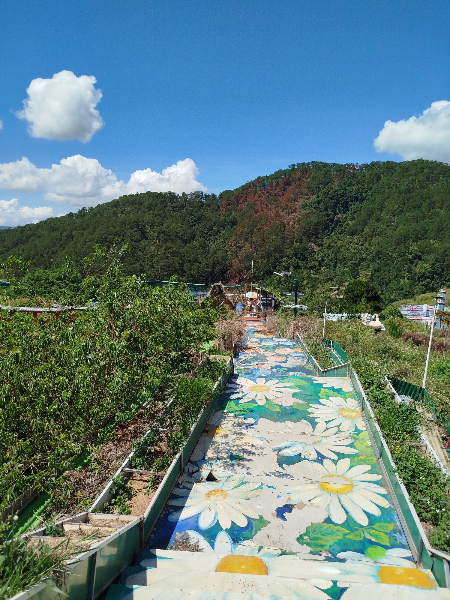 The image depicts a deteriorated outdoor staircase in Da Lat, Vietnam. The steps are painted with large white daisy patterns on a blue and green background, showing signs of wear and damage. Flanking the staircase are overgrown garden beds with a mix of plants and weeds, some contained within metal frames. Beyond the stairs is a landscaped area with various structures, including a decorative gazebo-like structure and a statue of swans. A densely forested mountain with patches of dead or dying trees rises in the background. The sky is blue with scattered white clouds. The scene is captured in daylight with clear weather.