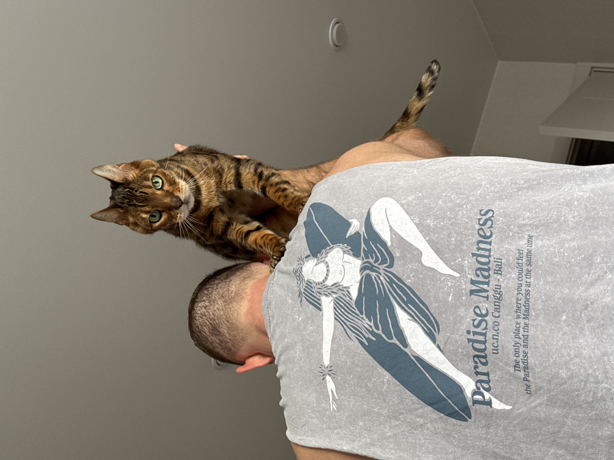 A low-angle shot captures a person with a tabby or Bengal-like cat perched on their back or shoulder. The person, seen from the back and side, wears a light grey t-shirt with a distinctive graphic and text. The cat has striking green eyes and is looking directly at the camera with an alert, curious expression. Its patterned fur is clearly visible, and its front paws rest gently on the person's shoulder area.
The background consists of plain, light grey walls and ceiling, suggesting an indoor setting. A round light fixture or vent is partially visible on the ceiling. The person's head is visible at the bottom left of the frame, showing short, closely cropped hair.
The t-shirt bears several lines of text: "Paradise Madness", "uc.n.co Canggu - Bali", and "The only place where you could feel the Paradise and the Madness at the same time". A stylized graphic design of a figure, resembling a woman, with flowing lines and outstretched limbs, is also printed on the t-shirt. The scene depicts a moment of interaction between the person and the cat, possibly playful or affectionate. The lighting is soft and ambient, indicating an indoor environment, likely during the daytime.