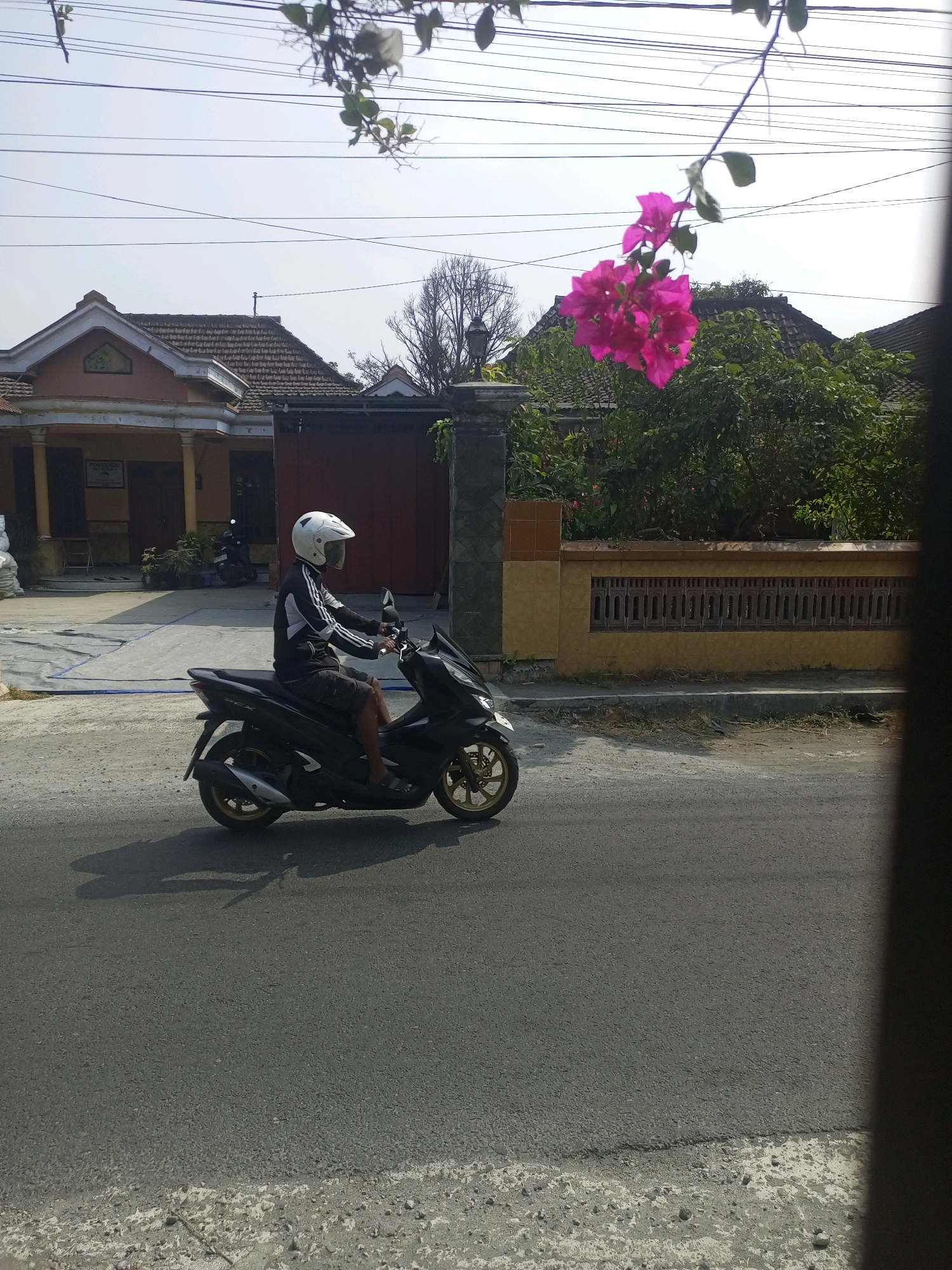 In the city of Ngasem, Indonesia, a person wearing a white helmet and a black and white striped jacket rides a black motorcycle on a paved road. The rider is facing to the left, with their hands on the handlebars. The motorcycle has gold-colored rims. In the background, there are houses with tiled roofs, a yellow wall with a patterned fence, and lush green trees. Bright pink bougainvillea flowers are visible in the upper right portion of the image, hanging from a branch against a bright sky. The scene is bathed in sunlight, casting a shadow of the motorcycle and rider onto the road.