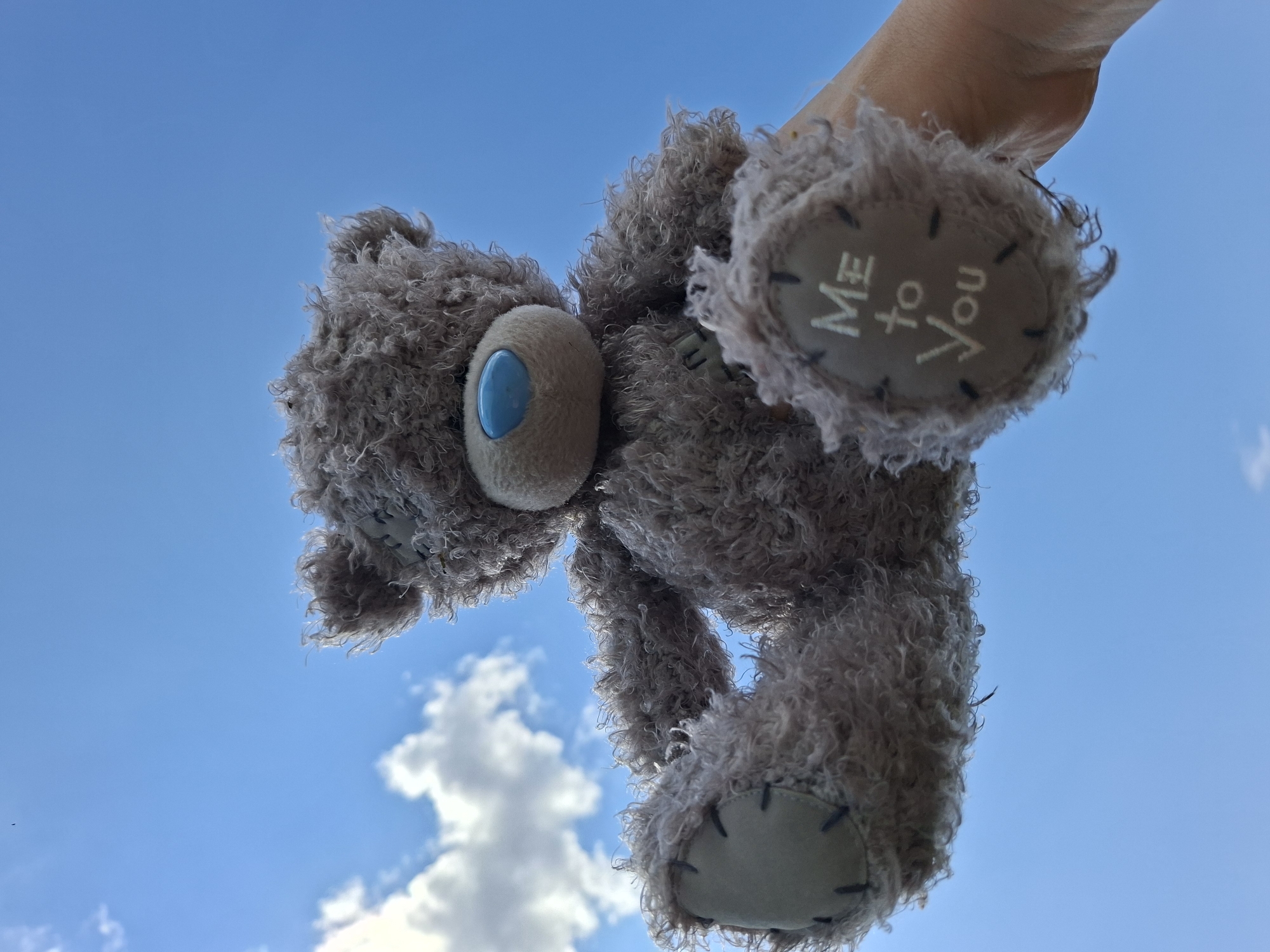 A grey, fuzzy teddy bear is held up against a bright blue sky with scattered white clouds. The teddy bear has a blue nose and stitched patches on its paws. The words "Me to You" are embroidered on one of the bear's paws. A human hand is visible holding the bear from below, supporting its weight. The image is captured from a low-angle perspective, looking upwards.