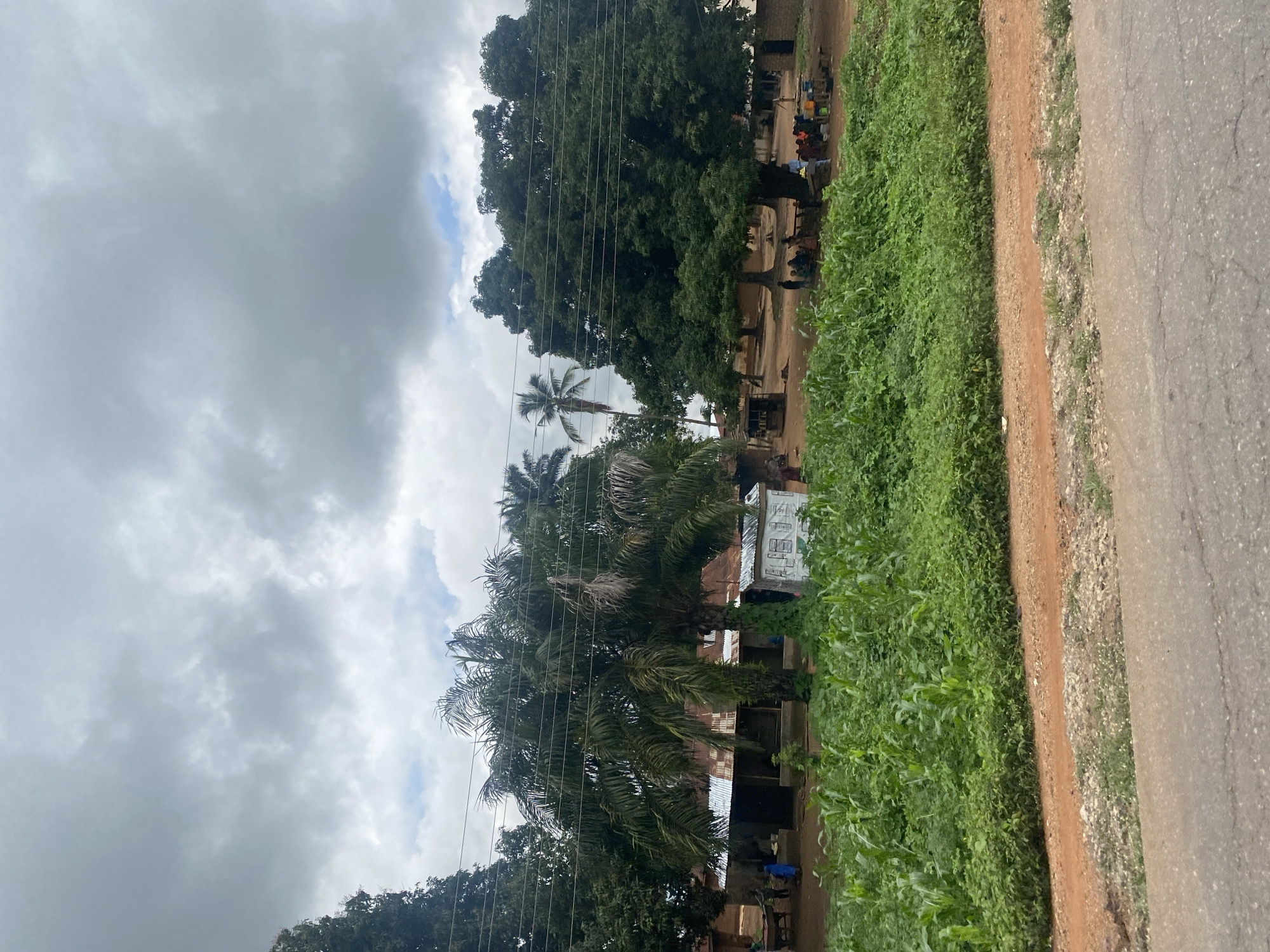 The image depicts a rural scene in Ninzo West, Nigeria, characterized by a cluster of buildings with corrugated metal roofs, surrounded by lush vegetation and large trees. In the foreground, a dense growth of corn stalks and other greenery lines a dirt path and the edge of a paved road. The middle ground reveals several structures, including what appear to be houses or small shops, with some individuals gathered outside. A prominent palm tree stands tall near the center, and a larger, mature tree with a wide canopy is visible on the right. The sky is overcast with heavy, grey clouds, suggesting a cloudy or potentially rainy day. A group of people are seen congregated under the large tree on the right, with some sitting on the ground and others standing around tables with containers. Another smaller group is gathered near a building on the left. Power lines crisscross the upper portion of the image. The overall impression is one of a modest village or community settlement within a verdant landscape.