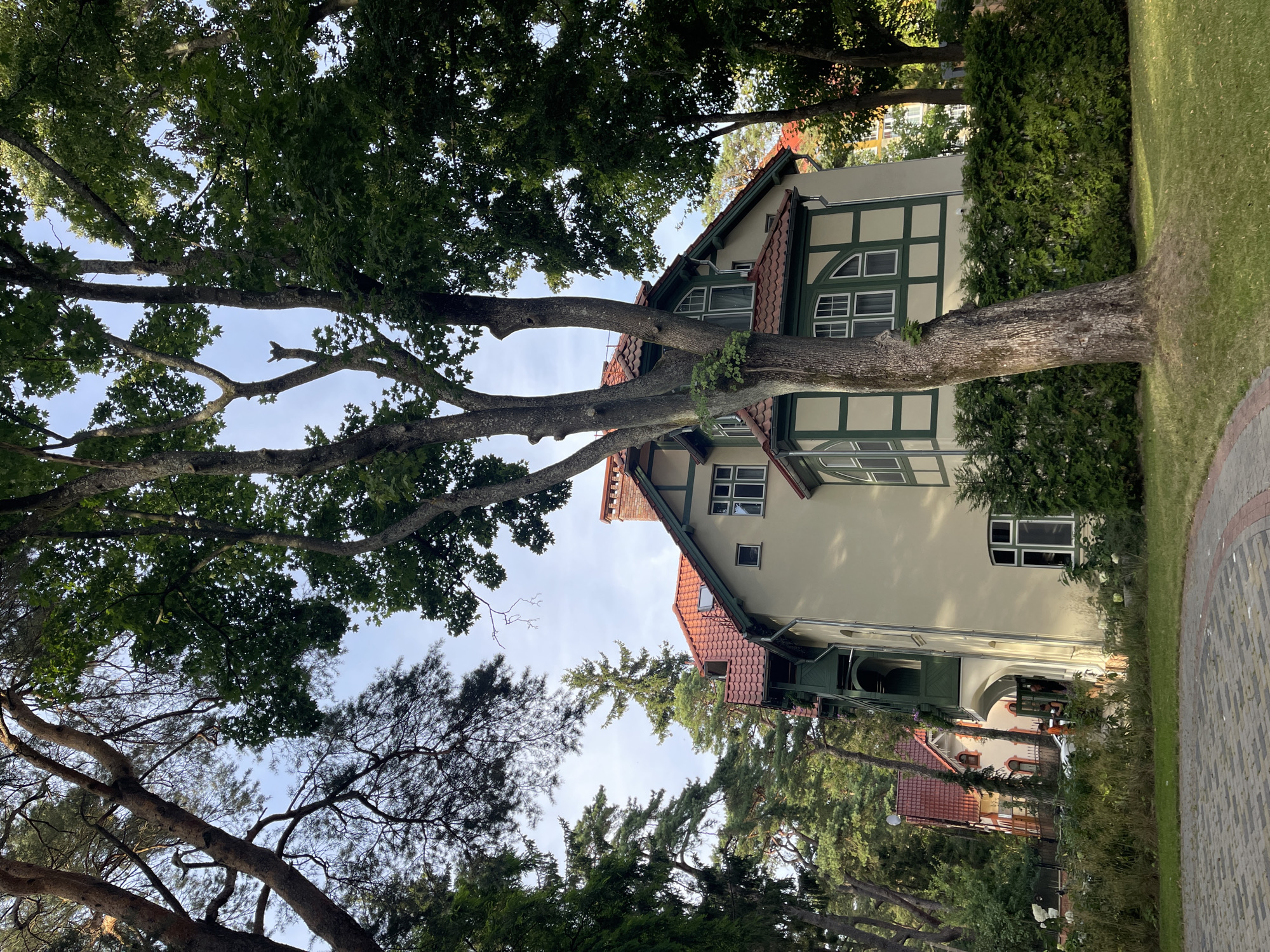 The image depicts a residential building with a distinctive architectural style, characterized by a pale yellow facade with dark green trim around the windows and structural elements. The building has a red tiled roof and several prominent windows, some of which are arched. A large tree trunk, with textured bark, leans towards the foreground, obscuring a portion of the building. The surroundings are lush with greenery, including mature trees, manicured bushes, and a well-kept lawn. In the background, another building with a red roof is visible, peeking through the trees. The overall impression is of a serene, residential area nestled within a wooded environment. This particular building is located at Pobedy Street 15 in Svetlogorsk, Russia. The lighting suggests it is daytime, with natural light illuminating the scene from the side.