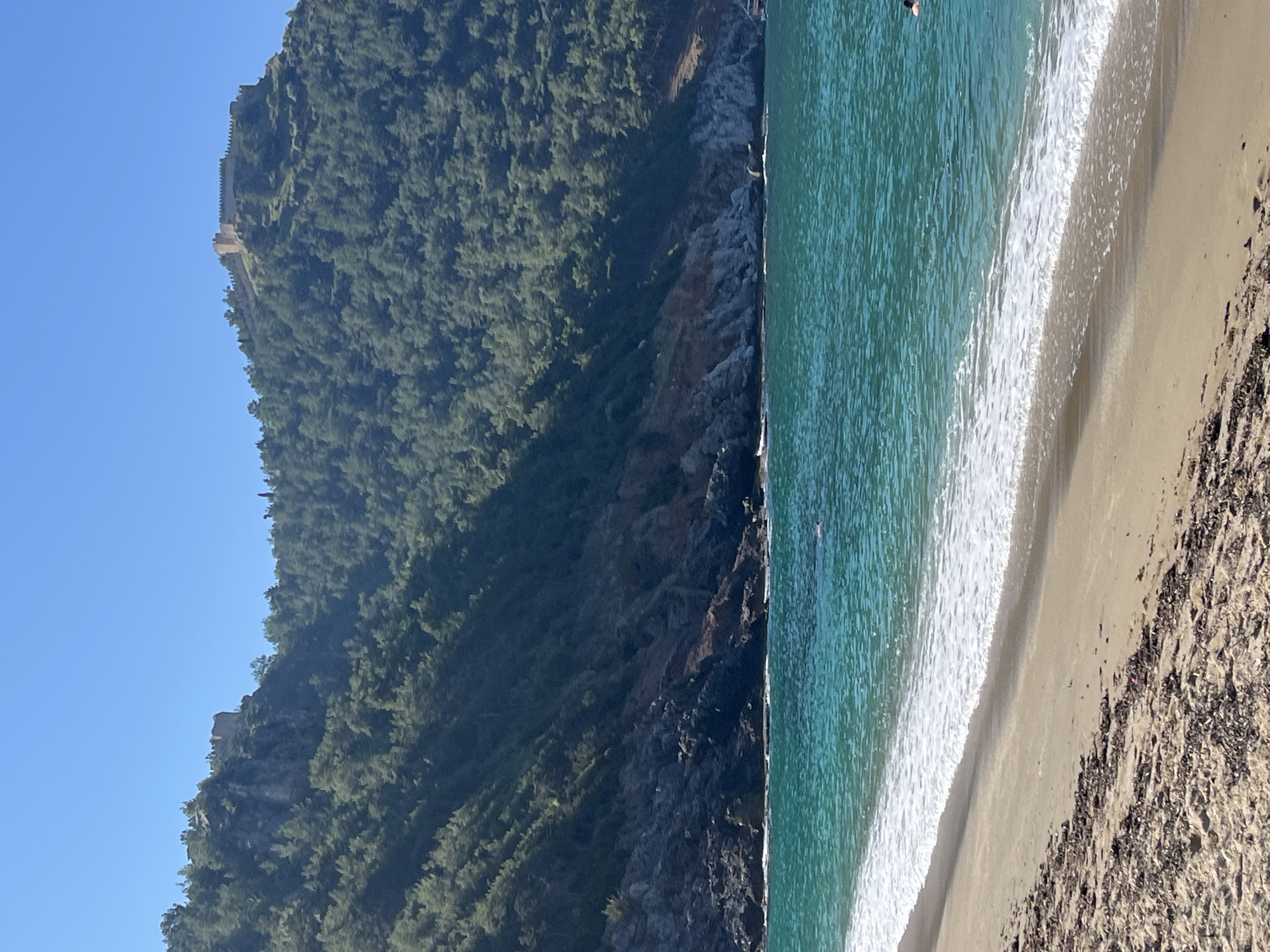The image shows a coastline in Alanya, Turkey. A steep, forested mountain dominates the left side, topped with the Alanya Castle visible in the distance. The mountain slopes down to a rocky coastline where it meets the turquoise water. A sandy beach occupies the right side of the image, with seaweed and debris scattered along the shore. There is a swimmer visible in the water.