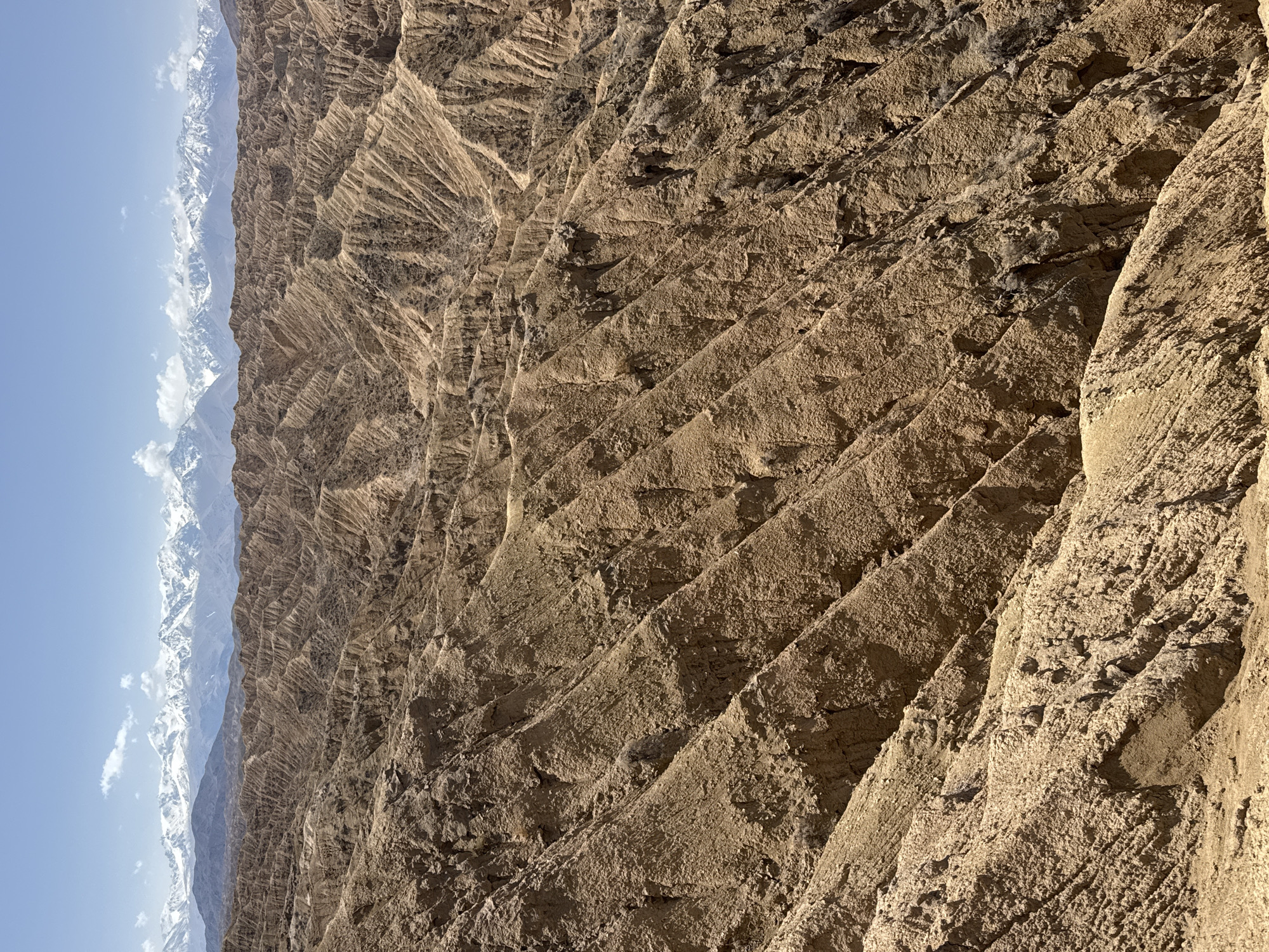 The image shows a landscape of layered, brown rock formations, likely within the city of Tong, Kyrgyzstan. The rock is characterized by distinct horizontal lines and vertical erosion patterns. A mountain range with snow-covered peaks is visible against a pale blue sky in the background. There are no people or other subjects apparent.