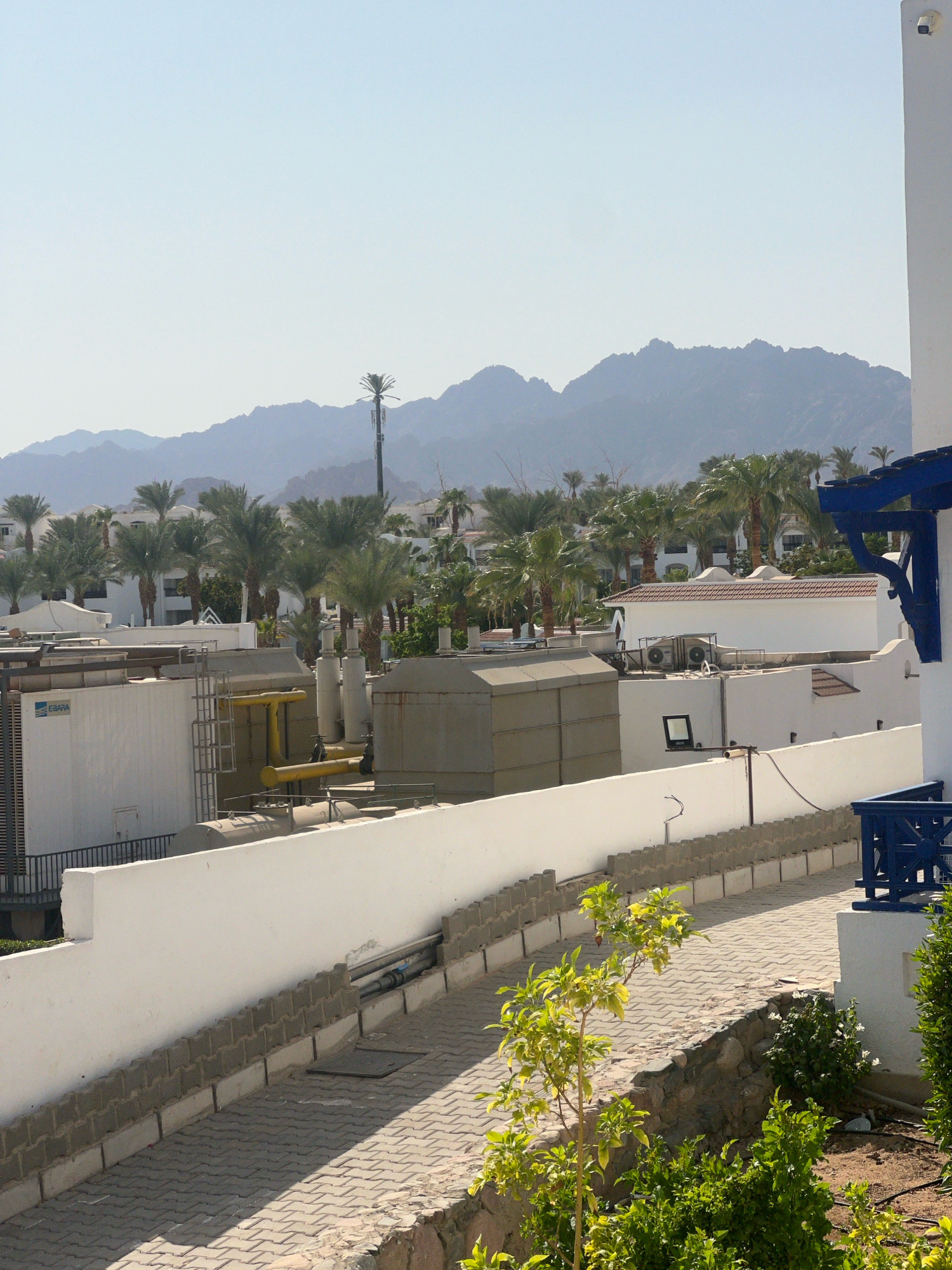 This is an eye-level, medium shot of a resort complex in Sharm El Sheikh, Egypt. The image captures a scene dominated by buildings, palm trees, and a mountainous backdrop under a clear, bright sky. In the foreground, a white wall curves along a paved walkway. Beyond the wall, industrial-looking structures with visible piping and ventilation systems are present, suggesting the presence of HVAC equipment or utility infrastructure. Several palm trees are scattered throughout the scene, with more densely clustered trees and buildings visible in the mid-ground. In the distance, rugged, arid mountains form the horizon, characteristic of the Sinai Peninsula. A portion of a blue railing and a white building structure are visible on the far right, possibly part of a balcony or walkway. The overall impression is one of a sun-drenched, tropical resort environment with functional, perhaps utilitarian, elements interspersed with lush vegetation and scenic natural surroundings. There are no people visible in the image.