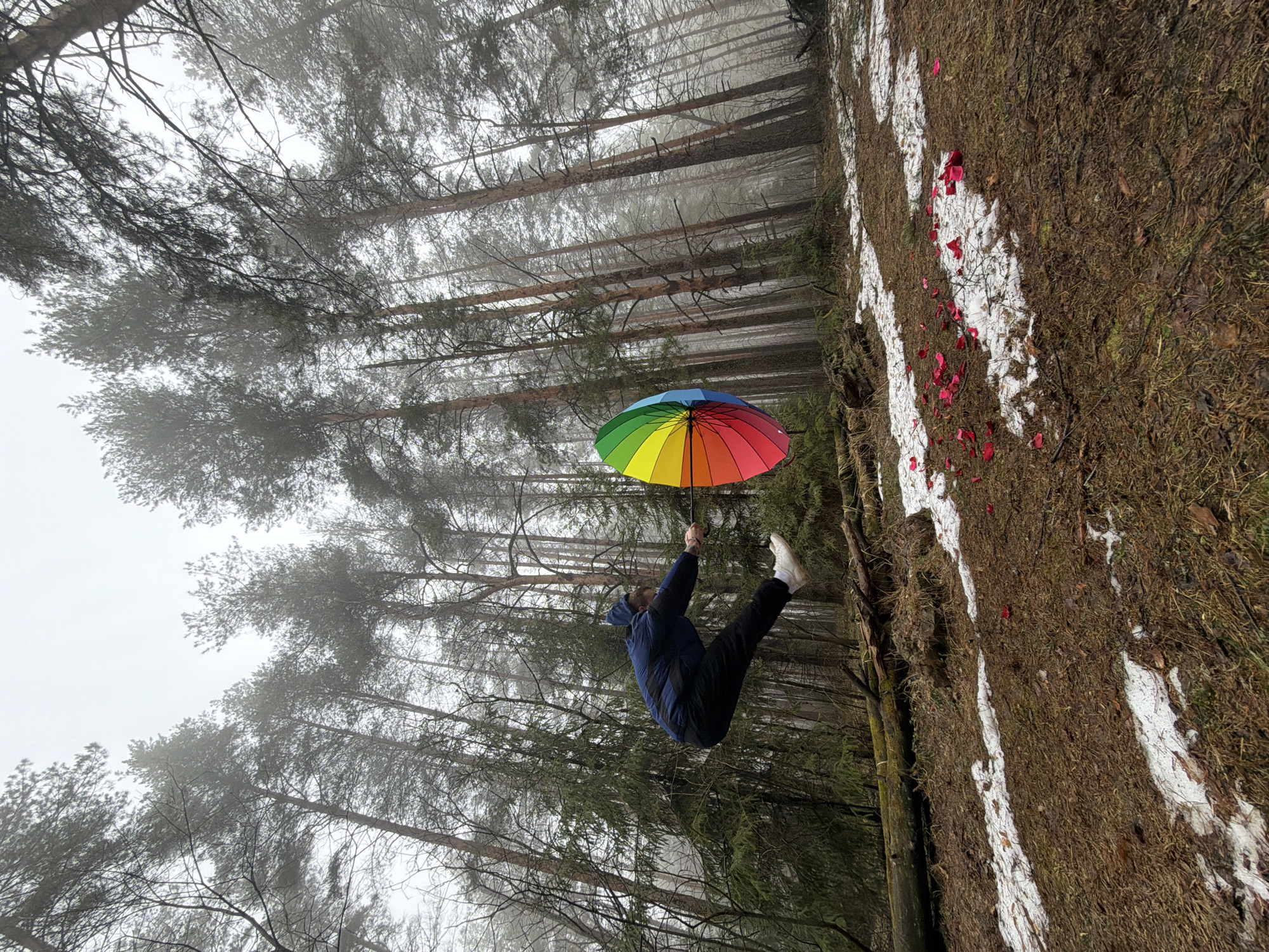 A man holds a rainbow umbrella in a forest near Прикамский, Russia. The man is suspended in mid-air. The ground is covered in brown foliage and snow patches dotted with red flower petals. Tall pine trees form the background. The sky is overcast and misty.