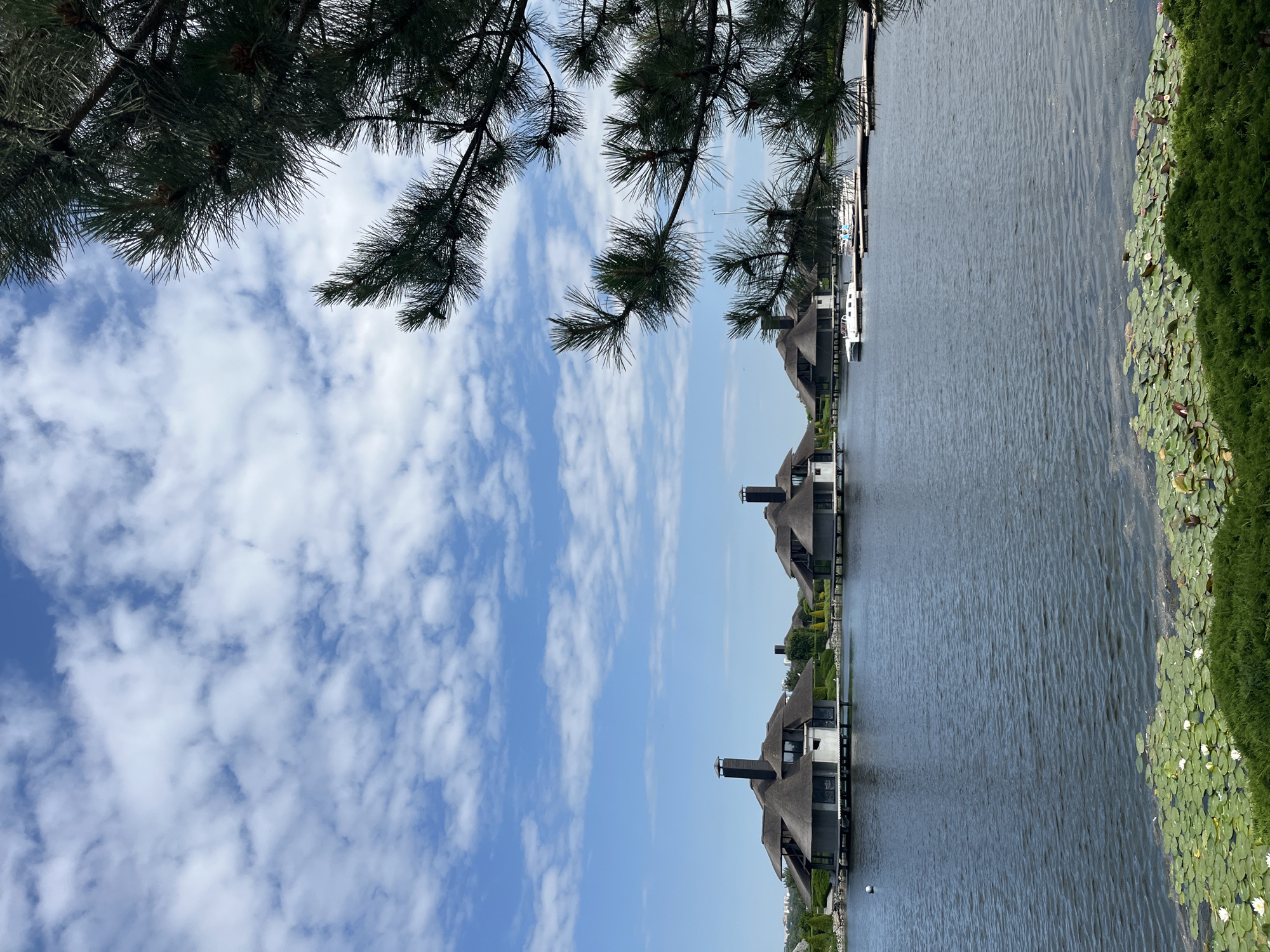 The image depicts a serene waterfront scene with several modern houses built on stilts over the water, characterized by distinctive thatched roofs and prominent chimneys. These houses are situated on a calm body of water, likely a lake or a wide river, with lily pads and aquatic plants visible in the foreground. A few small boats are docked nearby, suggesting a recreational or residential area. In the upper right corner, the branches of a pine tree frame the view, adding a natural element to the composition. The sky above is a vibrant blue, dotted with fluffy white clouds, indicative of fair weather.
This specific location is identified as the "River Town" residential complex in Dnipro, Ukraine. River Town is known for its unique architecture, designed to blend with the natural environment, and offers residents a tranquil lifestyle by the water. The scene captured in the image reflects this distinctive aesthetic, showcasing the characteristic houses and the surrounding watery landscape.