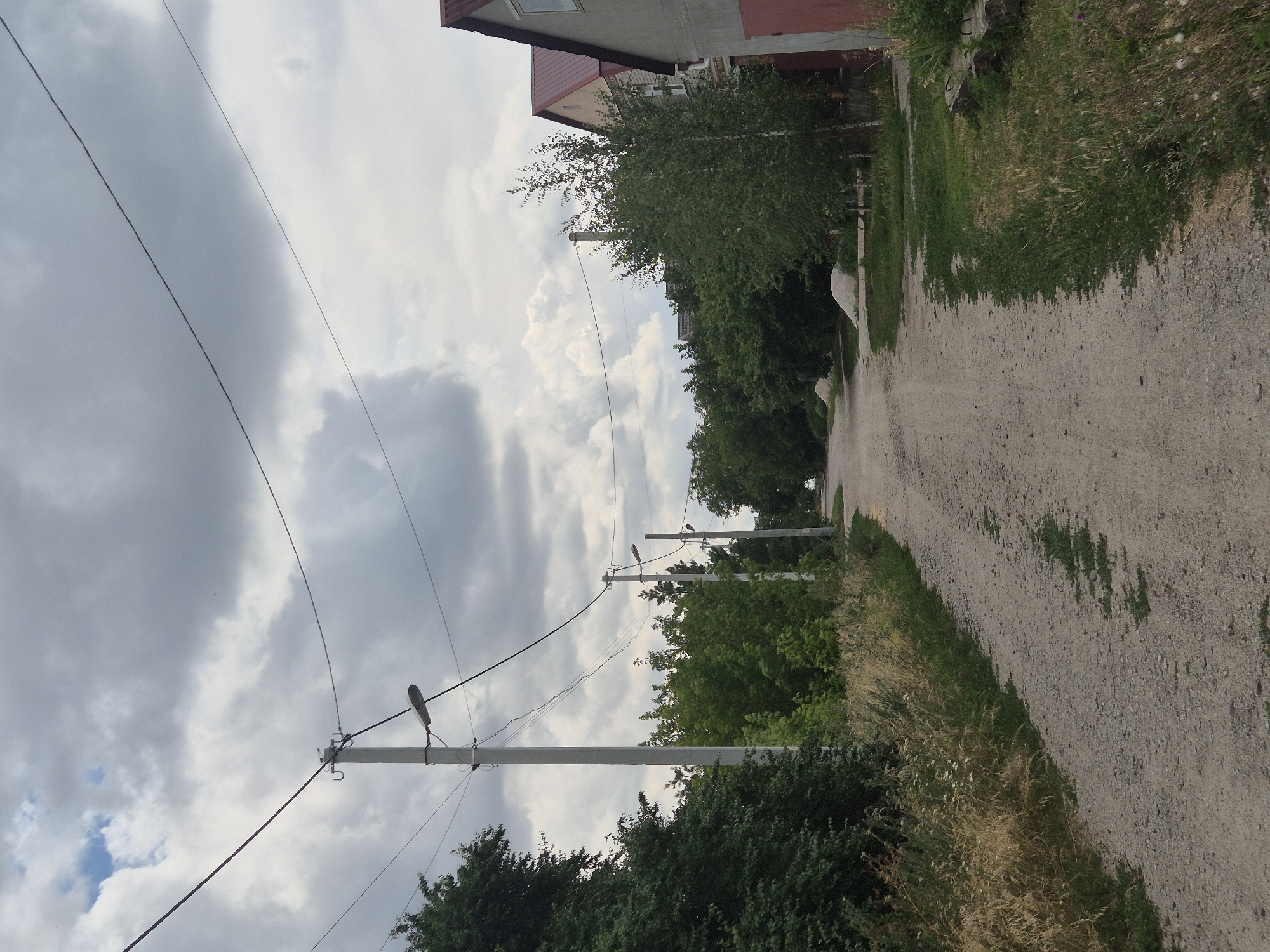 This image captures a view of a dirt road in Sozonivka, Ukraine, under a cloudy sky. The road, composed of gravel and dirt, is flanked by overgrown grassy areas and dense green foliage on the left. On the right, a gray building with a red-tiled roof and a red garage door is partially visible, followed by more green trees. Several tall utility poles with overhead wires and streetlights are spaced along the left side of the road, receding into the distance. The scene appears to be a quiet, rural or semi-rural residential area.