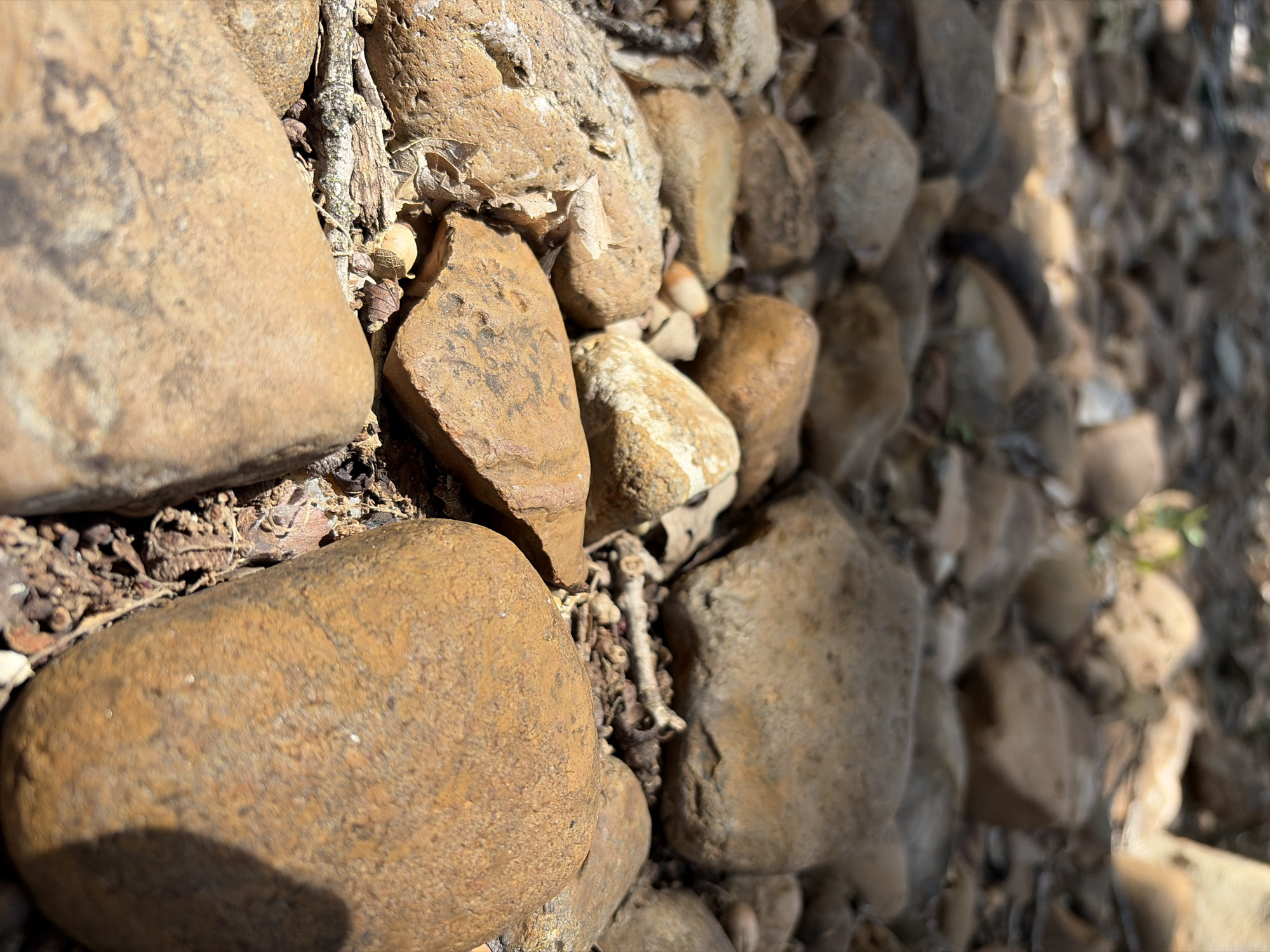 A close-up, low-angle shot captures a collection of smooth, rounded river rocks on the ground. The rocks vary in size and color, ranging from light tan and orange to darker brown and grey hues. Sunlight filters through unseen foliage overhead, casting dappled shadows across the textured surface of the stones and the dry leaves scattered amongst them. The scene appears to be a natural outdoor environment, likely a creek bed or a similar riparian area. There are no people or animals visible in the image. The location is identified as Grapevine, Texas, United States of America.