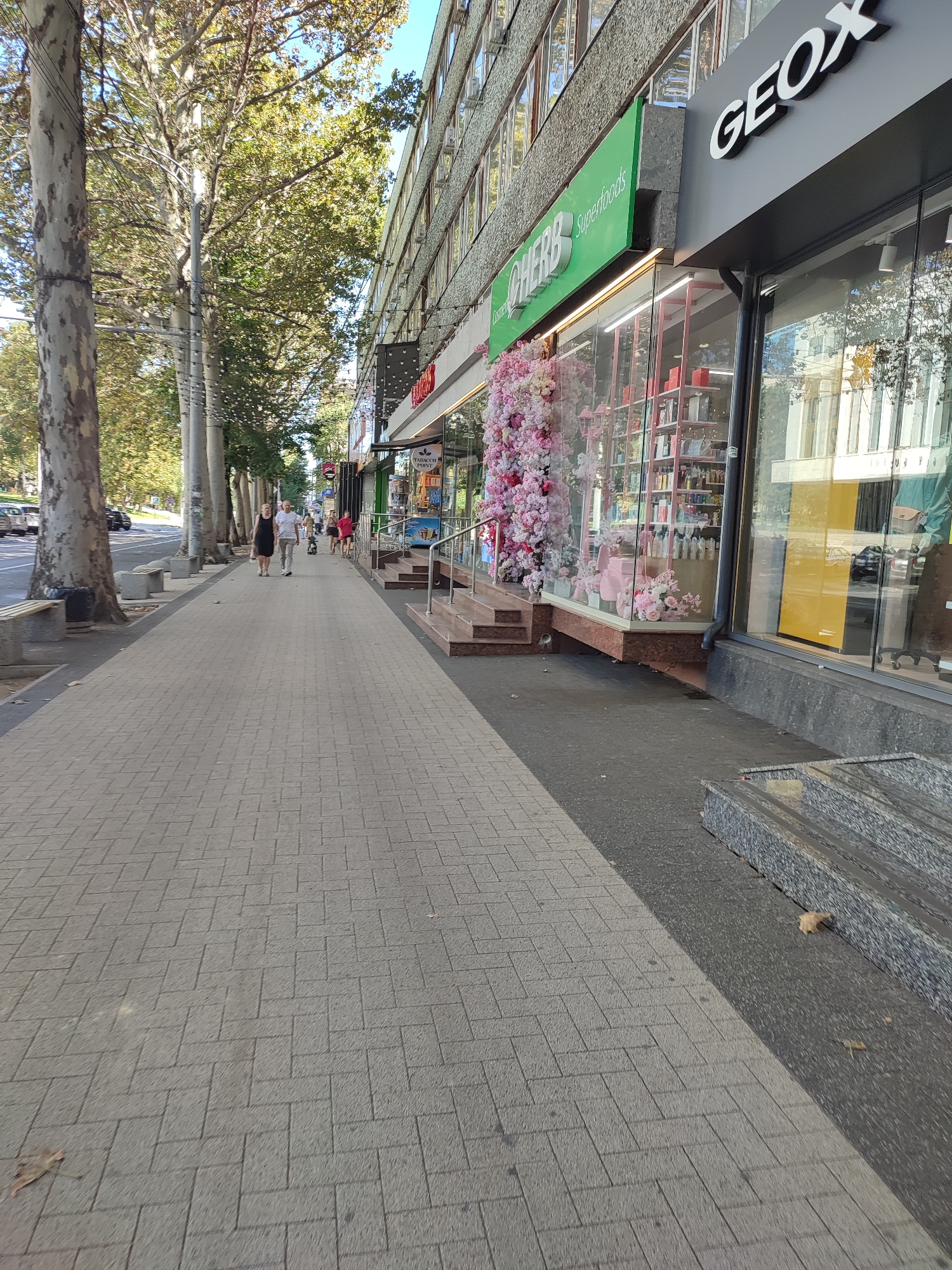 The image depicts a sunlit street scene in Chișinău, Moldova, featuring a wide pedestrian walkway paved with interlocking grey concrete tiles. The walkway runs alongside a multi-story building with a grey, textured facade. The ground floor of the building houses several shops, including a "GEOX" shoe store with prominent white lettering on a dark grey sign and a "CHERR Superfoods" store with a bright green sign. The CHERR store's facade is largely glass, displaying shelves stocked with various products and decorated with an abundance of pink floral arrangements, including a large cascade of pink flowers. Adjacent to the CHERR store, another shop with a large yellow display window is visible.
Several people are walking on the sidewalk. In the foreground, a couple is walking away from the camera. Further down the sidewalk, other individuals and a person with a stroller are visible. Tall trees with lush green foliage line the left side of the walkway, casting shadows and creating a canopy overhead. The street to the left of the walkway has parked cars. The overall environment suggests a busy urban commercial area on a clear day.