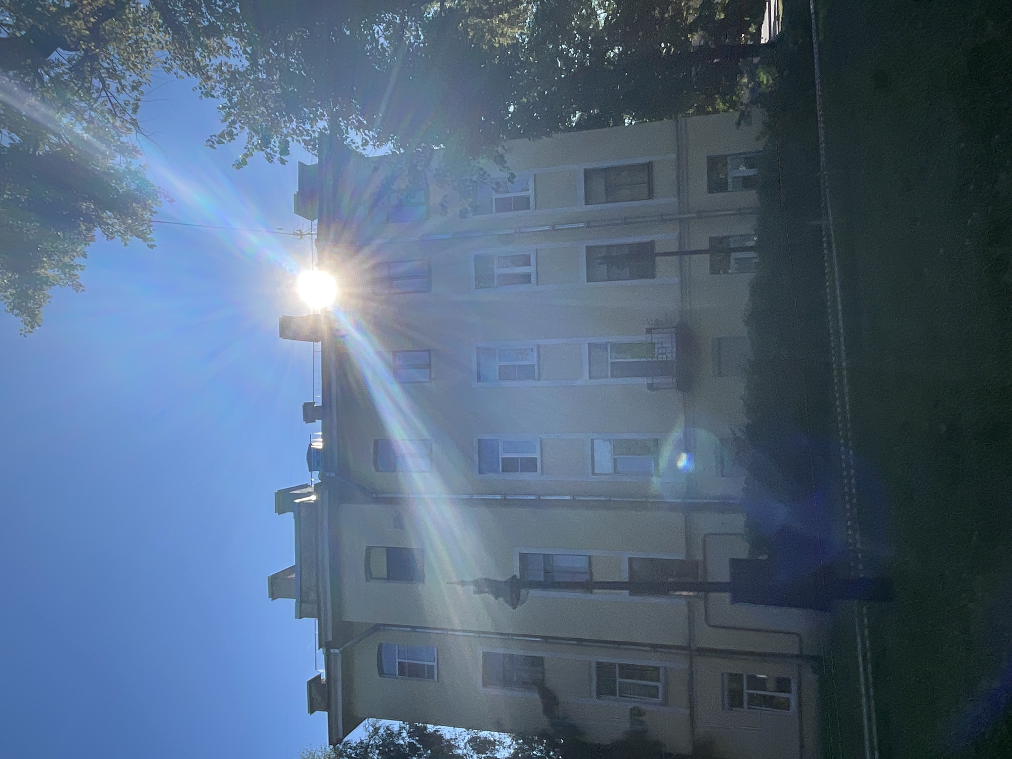 The image depicts a pale yellow, multi-story building with a neoclassical architectural style, likely a residential building or an administrative structure. The building features a symmetrical facade with numerous windows of varying sizes and configurations. The sun is prominently visible, positioned above and slightly to the right of the building's center, casting bright rays and creating lens flares across the scene. The top of the building is adorned with several decorative elements, possibly chimneys or ventilation shafts. Trees with dense foliage flank the right side of the building, and a section of a darker, leafy tree is visible in the upper right corner. In the foreground, a strip of green grass is present, separated by a narrow, dark band, possibly a path or a decorative border. A dark, tall, slender object, likely a lamppost, stands in front of the building to the left of center, partially obscured by lens flares. The sky is a clear, bright blue, indicating a sunny day. The overall impression is one of urban architecture bathed in strong sunlight, with elements of nature encroaching on the scene.