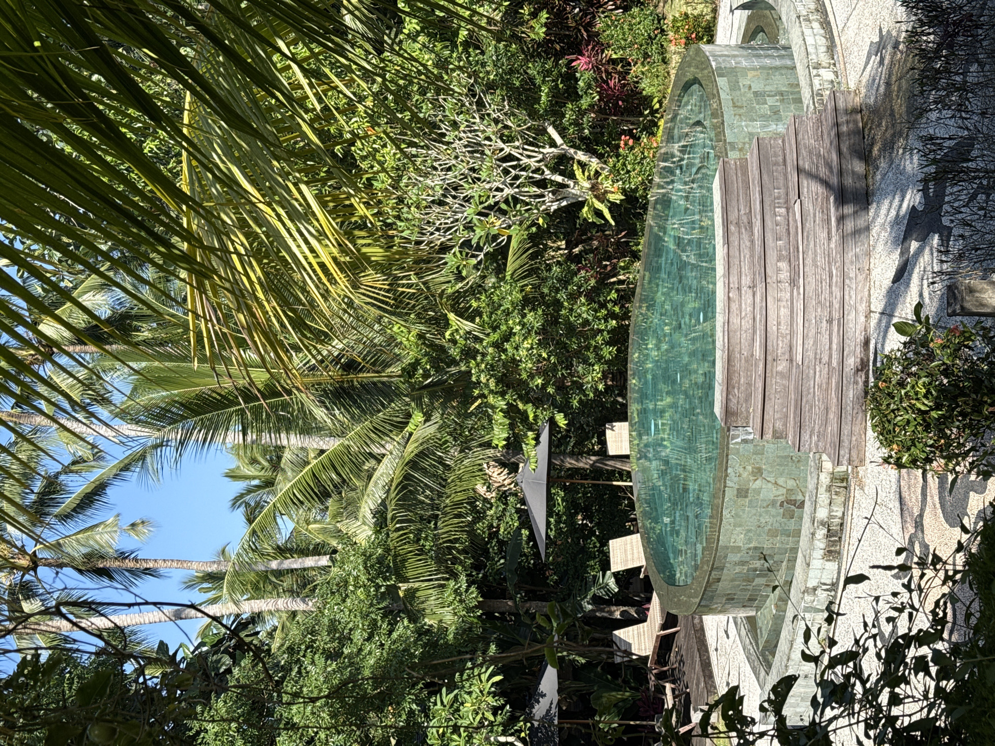 This vivid photograph captures a serene tropical landscape, likely a resort or private villa, under bright daylight. The scene is dominated by lush, verdant foliage and a distinct swimming pool, conveying a sense of tranquility and luxury.
In the mid-ground and foreground, the right side of the frame features a uniquely shaped, curved swimming pool with clear, turquoise water. The pool’s edge is adorned with natural-toned stone tiles, and a narrow wooden deck borders a section of it, offering a space for relaxation. Beyond the wooden deck, a light-colored, textured stone or pebble path extends, marked with distinct shadows from nearby vegetation, indicating strong sunlight.
The left side and background of the image are densely packed with diverse tropical plants and trees. Large, vibrant green palm fronds hang prominently in the foreground, creating a natural frame and filtering the sunlight. Further back, numerous tall palm tree trunks stand against a clear, bright blue sky, which is visible through gaps in the canopy. Amidst the abundant green, a distinctive tree with a complex lattice of light-colored, bare branches and sparse leaves stands out. Hints of a light-colored sun umbrella and possibly lounge chairs can be discerned amongst the greenery, suggesting a comfortable outdoor seating area.
The overall impression is one of natural beauty and peaceful solitude, bathed in the warmth of a sunny day. No people or visible text are present. The tropical flora and resort-like setting are consistent with the suggested location of Ubud District, Indonesia.