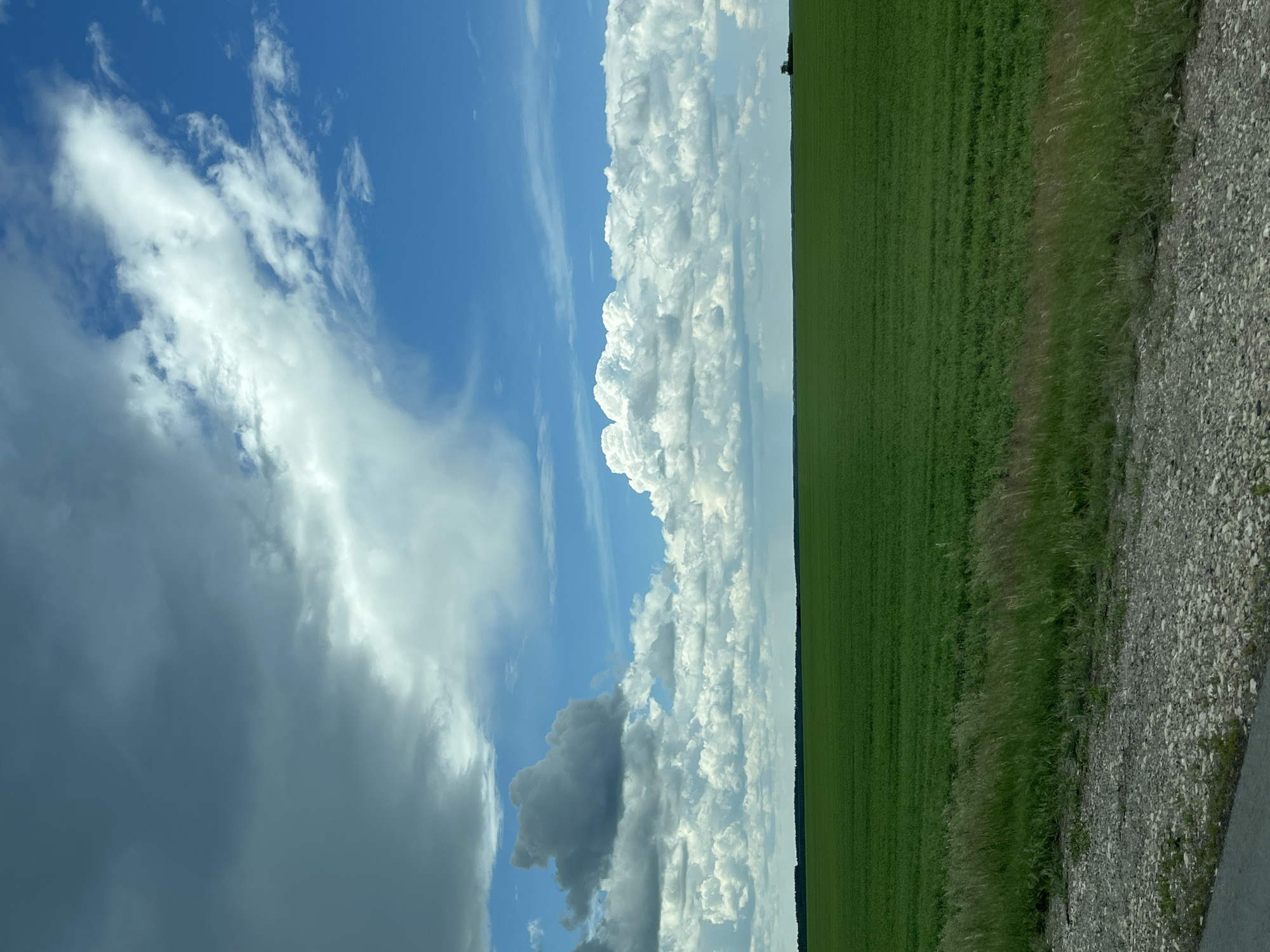 The image presents an expansive rural landscape located in Kalinovka, Russia, under a diverse sky. The upper two-thirds of the frame are occupied by a complex cloud formation. On the left, dark, heavy grey clouds dominate, transitioning towards the top right to clearer blue sky interspersed with bright white, wispy clouds. A distinct horizontal band of volumetric white cumulus clouds stretches across the mid-sky. Below the clouds, a flat, uniform green field, likely an agricultural crop, extends across the mid-ground to the distant horizon. A thin, dark line of trees or forest is visible along the distant horizon on the left, with an isolated cluster of dark trees appearing on the far right. The immediate foreground features a strip of light-colored, rough gravel, indicative of a road shoulder or path. Above the gravel, a band of taller, wild grasses in various shades of green and brown separates the foreground from the cultivated field. A small segment of dark asphalt road is discernible at the extreme bottom left edge of the image. The scene is illuminated by natural daylight, with varied intensity due to the cloud cover. No individuals, animals, or man-made structures are overtly present within the depicted landscape.