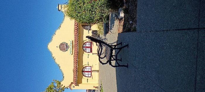 The image displays the exterior of the historic Petaluma train depot in Petaluma, United States, viewed under a clear blue sky. The building features pale yellow stucco walls, a red Spanish-style tile roof, and a prominent curvilinear parapet facade. The word "PETALUMA" is visible in green lettering below a central decorative crest on the facade. Several arched windows with dark red frames are present on the building's front. In the foreground, positioned slightly left of center, is an unoccupied public bench constructed with a dark metal frame and wooden slats, featuring ornate, scrolled armrests. The ground consists of dark grey, speckled concrete pavement, across which long shadows are cast from an unseen source to the left. A dense green bush or small tree is visible on the right side of the frame, partially obscuring the building, while a portion of green foliage appears on the far upper-left. No individuals or active events are depicted.