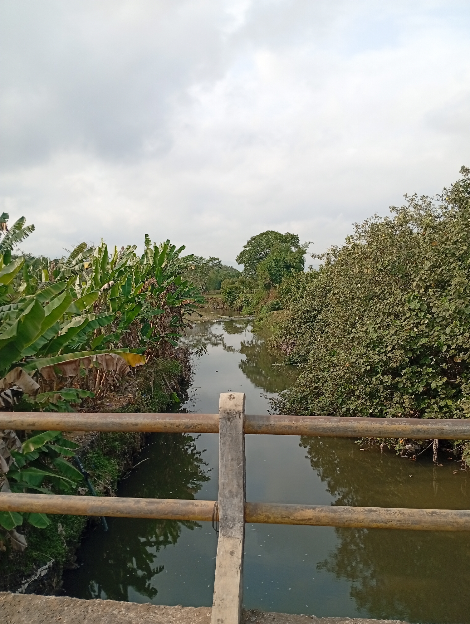 The image shows a canal or small river flanked by lush vegetation. On the left, there are numerous banana plants with large, green leaves, some of which are dried and brown. On the right, dense foliage and trees line the bank, with reflections of the trees visible in the calm water. A simple railing made of concrete and rusty metal poles runs across the foreground, obscuring a portion of the view of the canal. The sky is overcast with diffused light. The scene suggests a rural or semi-rural setting with a natural watercourse.