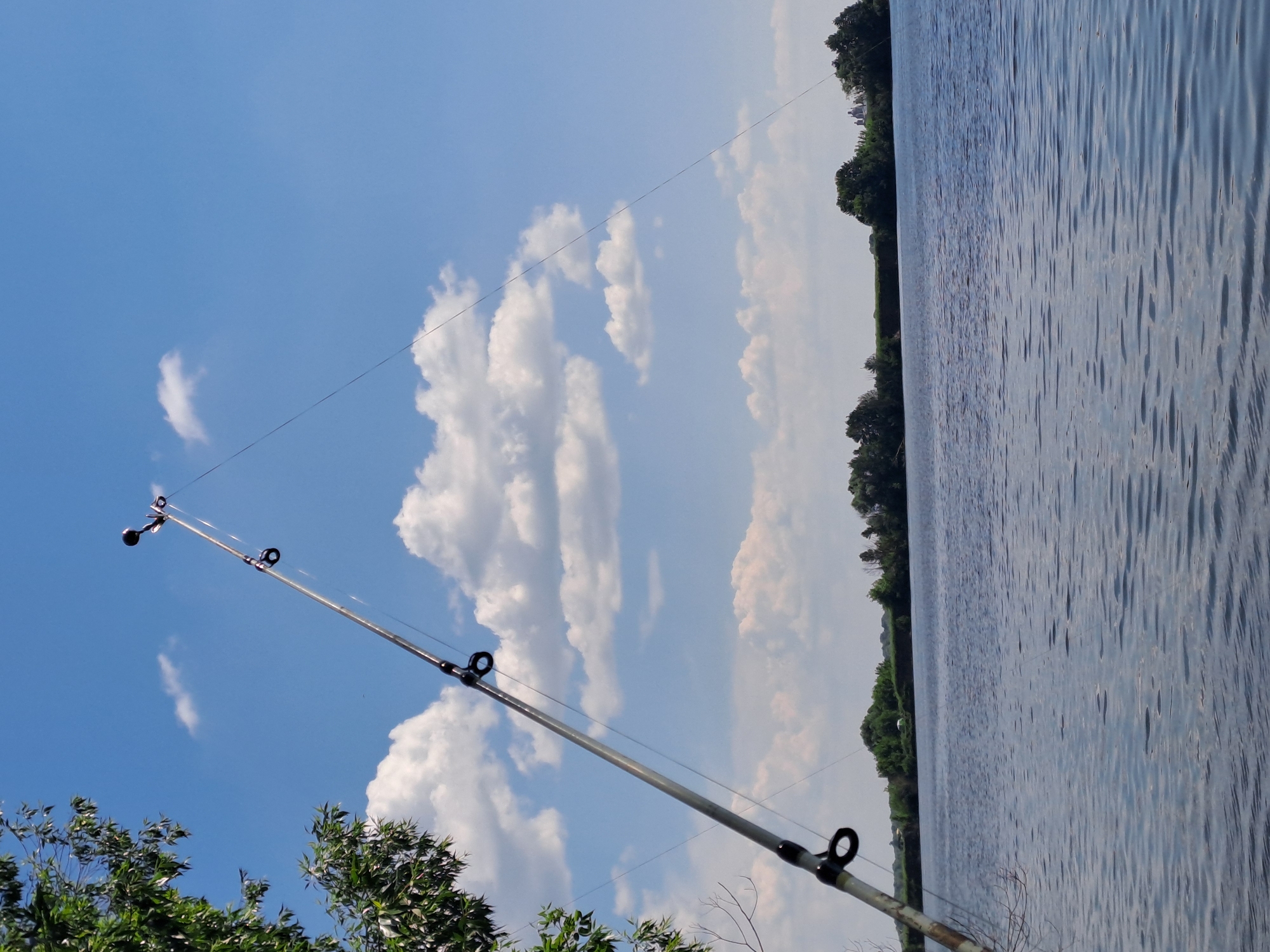 A fishing rod extends diagonally from the bottom left of the frame towards the upper right, against a bright blue sky filled with scattered white clouds. The rod has several black guides. A thin fishing line stretches tautly from the tip of the rod, disappearing into the distance. Below the sky, a wide expanse of calm, blue water occupies the lower half of the image. The far bank of the water is lined with a dense, green treeline. In the distance, beyond the treeline, hints of buildings or structures can be seen. The environment suggests an outdoor, waterfront setting, likely a lake or river, under clear weather conditions. The overall scene evokes a peaceful, recreational atmosphere. The image was taken in Dedinovo, Russia.