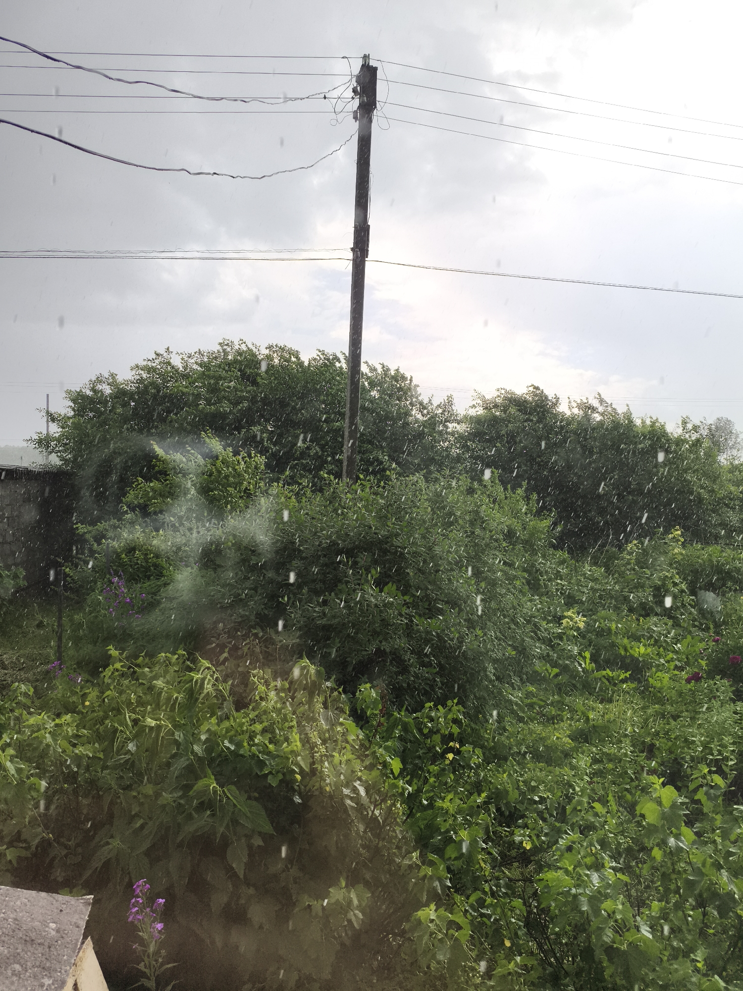 A weather-worn utility pole with visible cracks and damage stands tall against a cloudy sky, its wires crisscrossing the frame. Below, a dense wall of lush green foliage, likely trees and bushes, dominates the scene. White specks, indicative of falling precipitation such as rain or snow, are scattered throughout the image, creating a misty effect. In the lower left corner, a portion of a concrete structure, possibly a building or wall, is visible. Towards the bottom of the frame, a cluster of delicate purple flowers adds a touch of color to the otherwise green and gray landscape.
