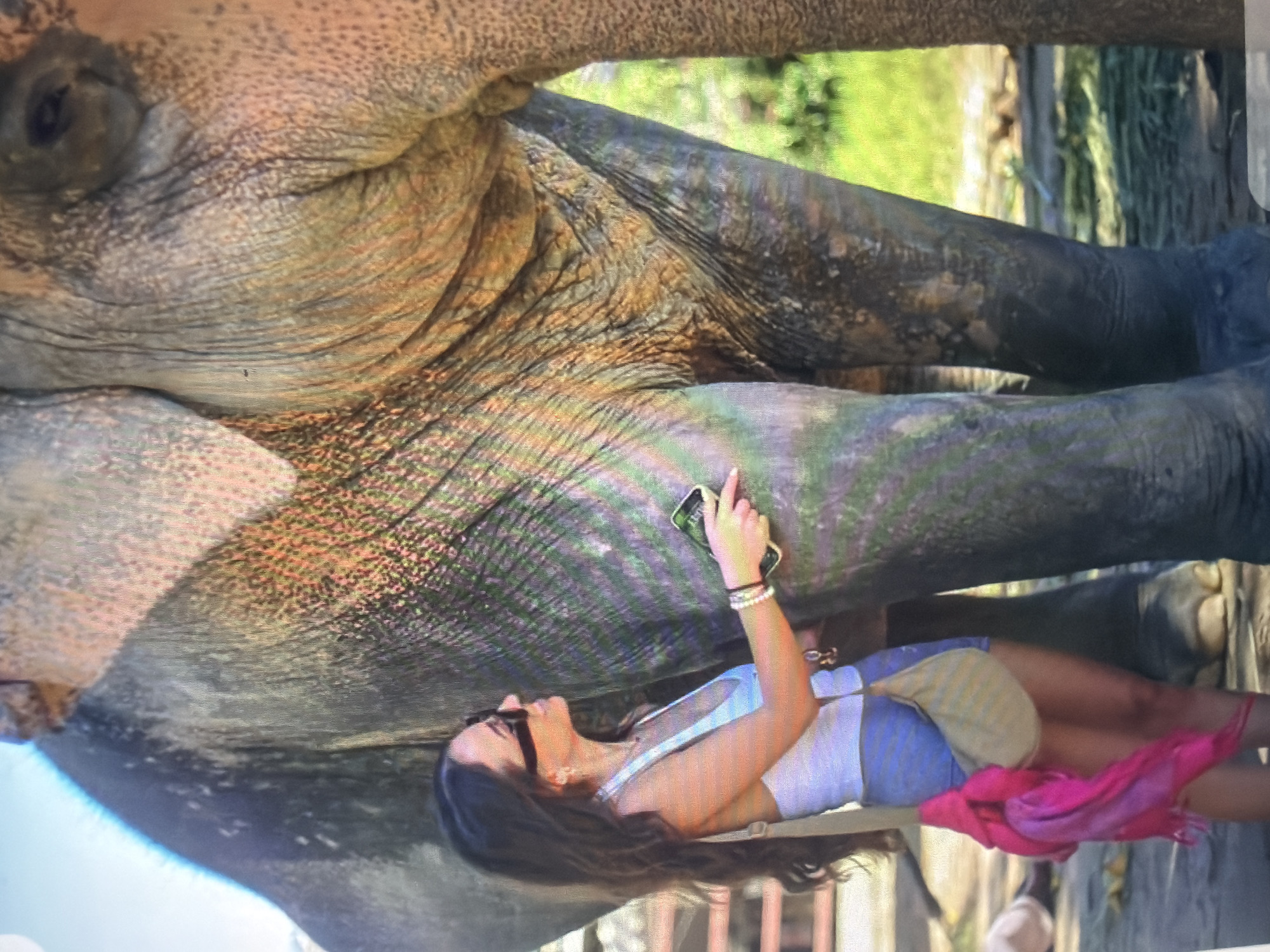 The image depicts an outdoor scene reportedly located in Shumen, Bulgaria, featuring a young adult female interacting with a large elephant. The woman, positioned on the left side of the frame, has long, dark hair and wears dark sunglasses, a light-colored tank top, and light blue shorts. A light-colored cross-body bag, from which a bright pink fabric or scarf hangs, is visible on her side. She wears multiple white bracelets on her left wrist. In her left hand, she holds a smartphone with a dark case, while her right index finger points towards the elephant's right front leg. The elephant occupies the central and right portions of the frame, showcasing its textured, wrinkled skin with mottled variations of grey, brown, green, and orange tones. A portion of the elephant's head, including one eye, is visible at the upper right. The environment includes a dirt or muddy ground surface and green vegetation in the background, particularly behind and to the right of the elephant. Faint structural elements, possibly fencing, are visible in the upper left background.