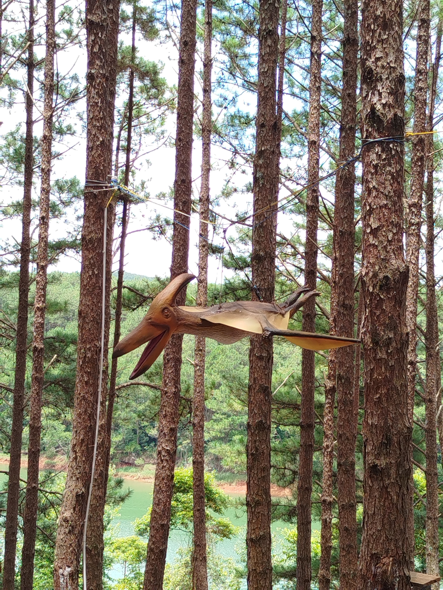 A prop pterodactyl hangs suspended by wires between tall pine trees in a forest. The pterodactyl is a realistic replica, made of wood or a similar material, with outstretched wings and its mouth open. The scene appears to be part of an outdoor attraction or park. In the background, a body of water, likely a lake or reservoir, is visible, surrounded by lush green vegetation and rolling hills, consistent with the landscape of Da Lat, Vietnam, a city known for its pine forests and natural beauty. The lighting suggests it is daytime.