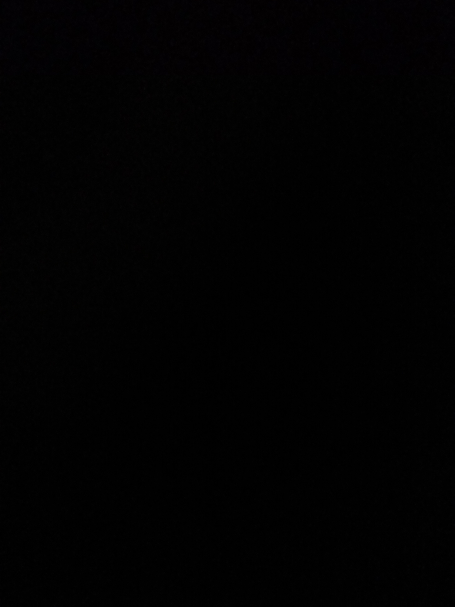 This media file is entirely black, indicating a corrupted or unviewable image. No subjects, objects, scene, activity, or details can be discerned. There is no visible text.
