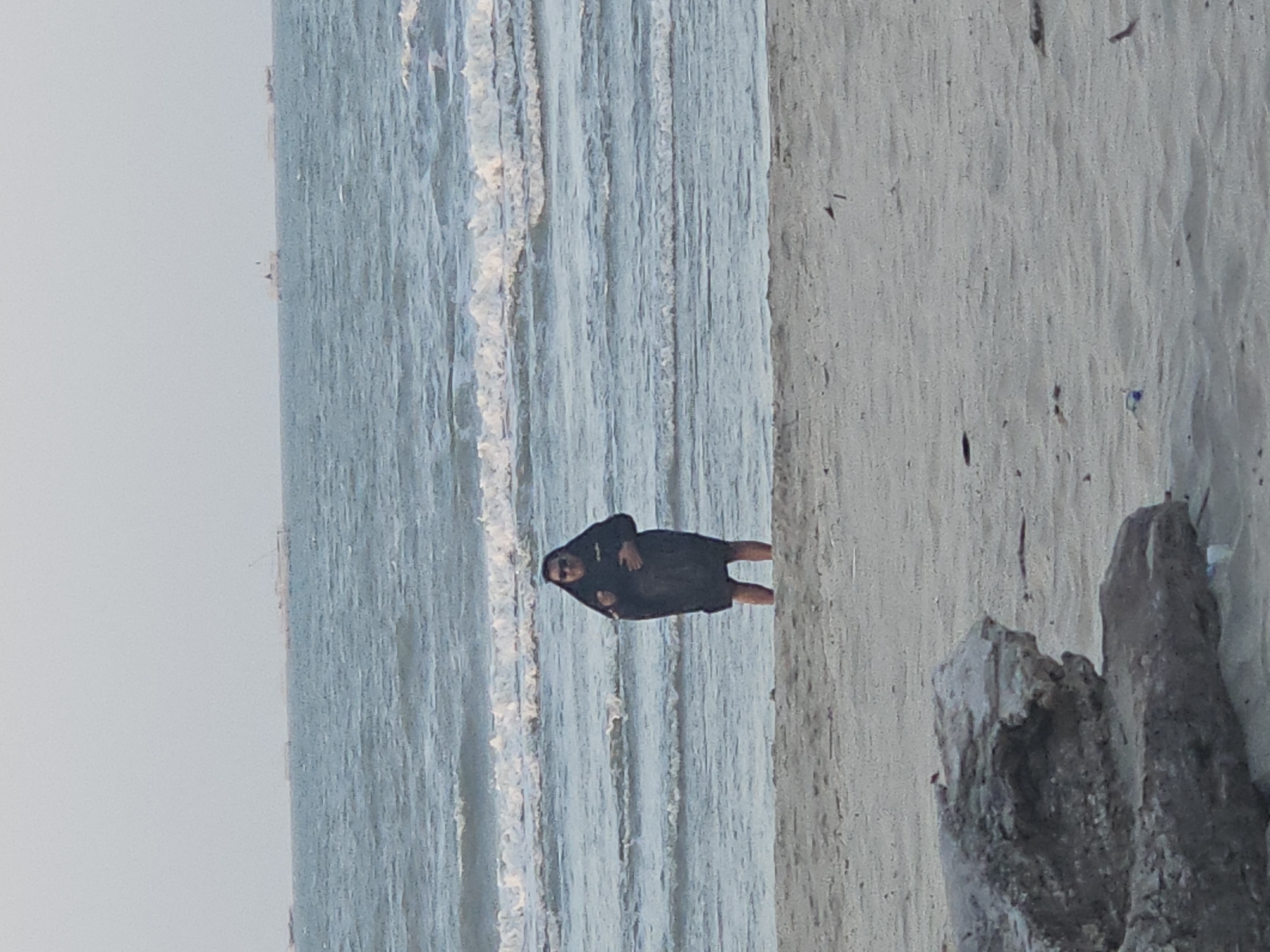 A person stands on a sandy beach in Dalegan, Indonesia, near the water's edge. The person is wearing a dark, hooded garment and sunglasses. The sea is choppy with waves breaking on the shore. In the background, several ships are visible on the horizon. A large piece of driftwood lies on the sand in the foreground. The sky is overcast.