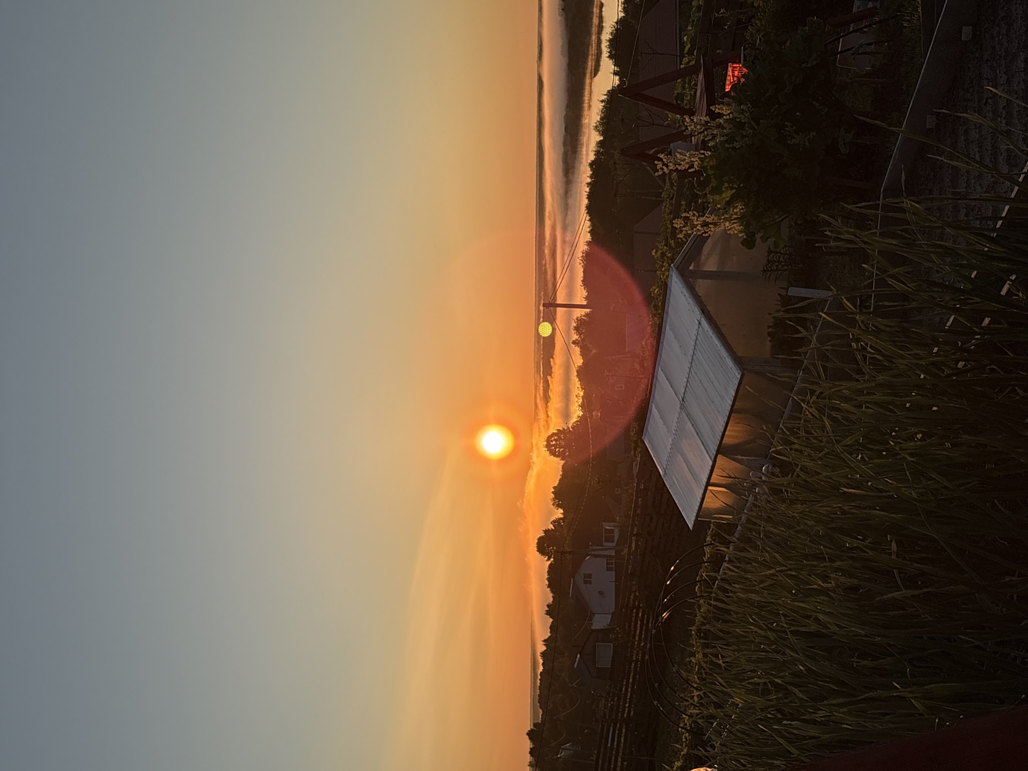 The image displays an early morning rural landscape at sunrise in Zelenets, Russia. The sky transitions from a deep blue-grey at the top to a vibrant orange and yellow hue near the horizon. The sun, a bright, circular, orange-yellow orb, is positioned slightly right of the vertical center, emitting noticeable lens flares, including a prominent red-orange glow extending downwards and to the right, and a fainter green circular artifact to the left.
A wide body of water, likely a river, stretches across the mid-ground, largely obscured by a dense layer of low-lying mist or fog that reflects the warm sunlight. Silhouettes of distant trees are visible through and above the fog along the far bank.
Below the misty river, a residential area is visible, featuring several single-story houses, predominantly white, with dark roofs, interspersed among dark green trees. Utility poles and power lines traverse this section.
The foreground is dominated by a cultivated garden space. A greenhouse with a light grey, translucent roof and darker side walls is positioned towards the lower right, its interior or a reflected surface appearing to glow with an orange light. To the left of the greenhouse, a dense bed of tall, slender, green plants (resembling alliums) fills the lower-left portion of the frame. Behind these plants, dark, arched structural elements are visible. Further to the right of the greenhouse, visible garden beds with dark soil contain smaller green vegetation, and a portion of a wooden A-frame structure, possibly a swing set, is present. A small, distinctly red glowing object is situated in the far right mid-ground, partially obscured by other elements.
No individuals are visible in the scene. The environment is rural or semi-rural, characterized by residential dwellings, cultivated land, and a river experiencing significant ground-level atmospheric moisture at dawn.