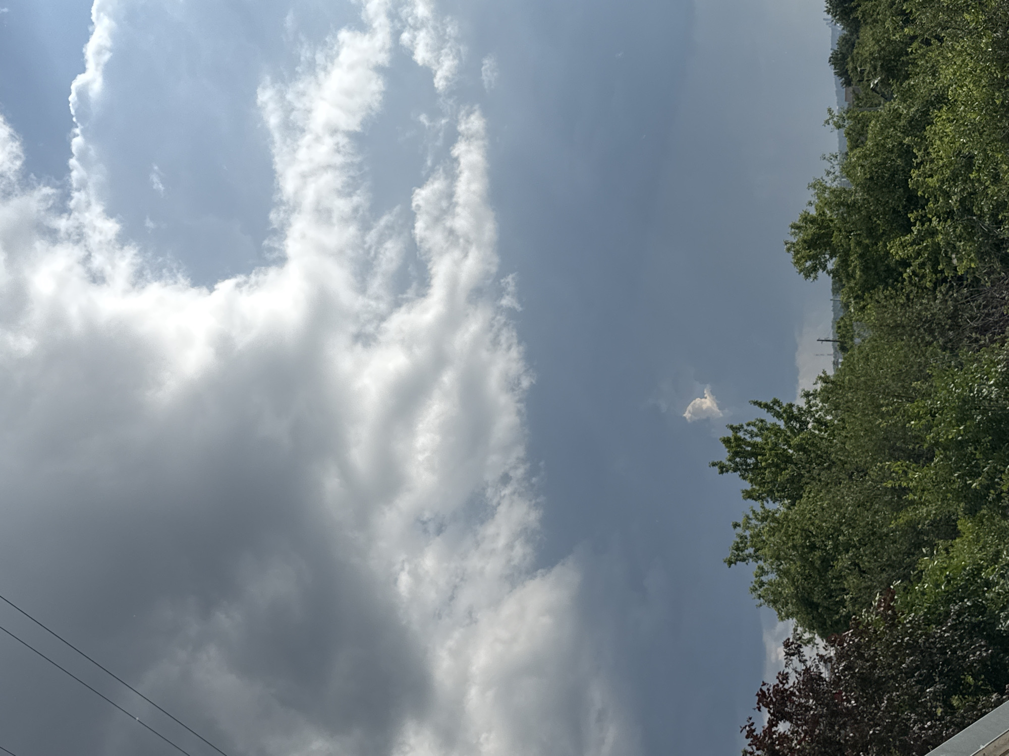 The image captures a cloudy sky with trees in the foreground. The sky is a mix of dark grey and bright white clouds, with patches of blue visible. There are power lines visible in the upper left corner of the image. The trees are lush and green, with some appearing to have reddish-brown leaves. The scene appears to be an outdoor environment in Chaikovsky, Russia.