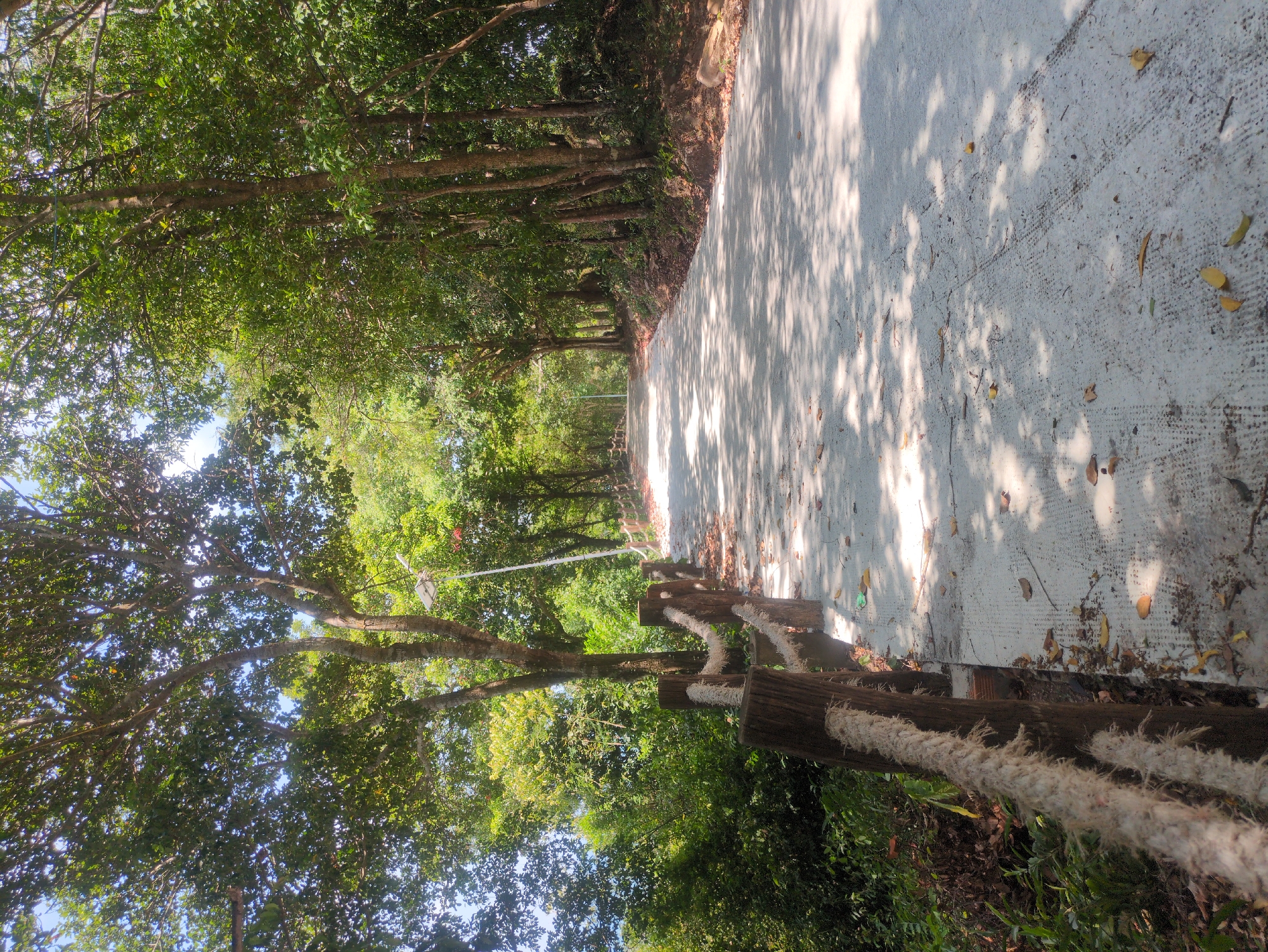 The image shows a paved road winding through a heavily wooded area, likely a path in a park or nature reserve. The road surface is light-colored concrete, dappled with shadows from the trees. A low wooden fence with thick rope runs along the right side of the road. The trees form a dense canopy overhead, with the sky visible through the foliage. The location is specified to be in the city of Phú Quốc, Vietnam.