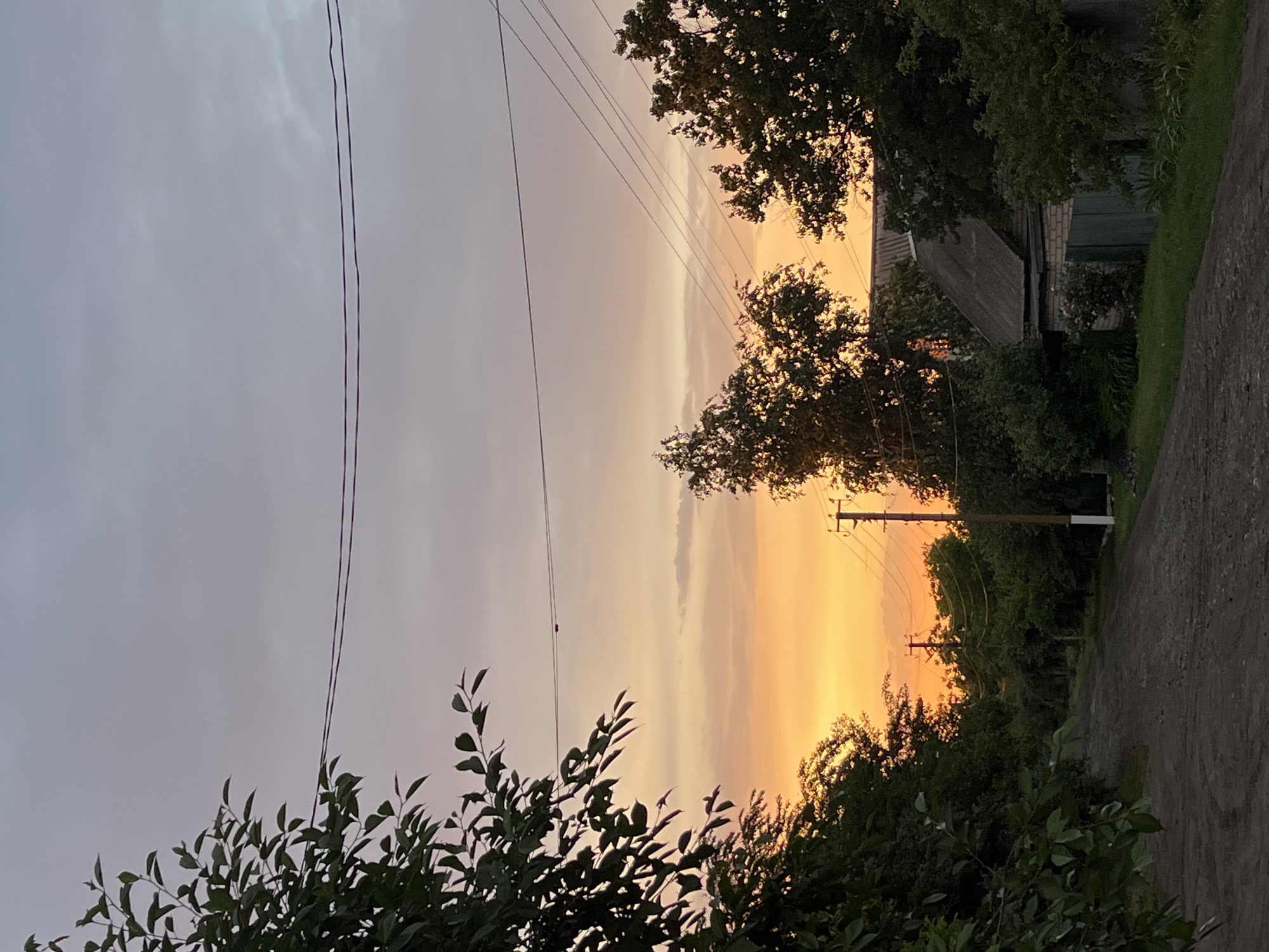 The image captures a rural landscape during sunset. The sky is ablaze with warm hues of orange and yellow, transitioning to a soft, dusky gray at the top. Silhouetted against this vibrant sky are the dark shapes of trees and a small, rustic building. Electrical wires crisscross the frame, supported by wooden poles, suggesting a remote or semi-rural setting. The foreground is dominated by the dark leaves of trees, partially obscuring the view of the house and the sunset. A dirt or gravel path runs alongside the right edge of the image, leading into the distance. The overall mood is serene and tranquil, characteristic of a peaceful evening in the countryside. The lighting indicates it is dusk, likely around sunset, with the last rays of sunlight illuminating the clouds.