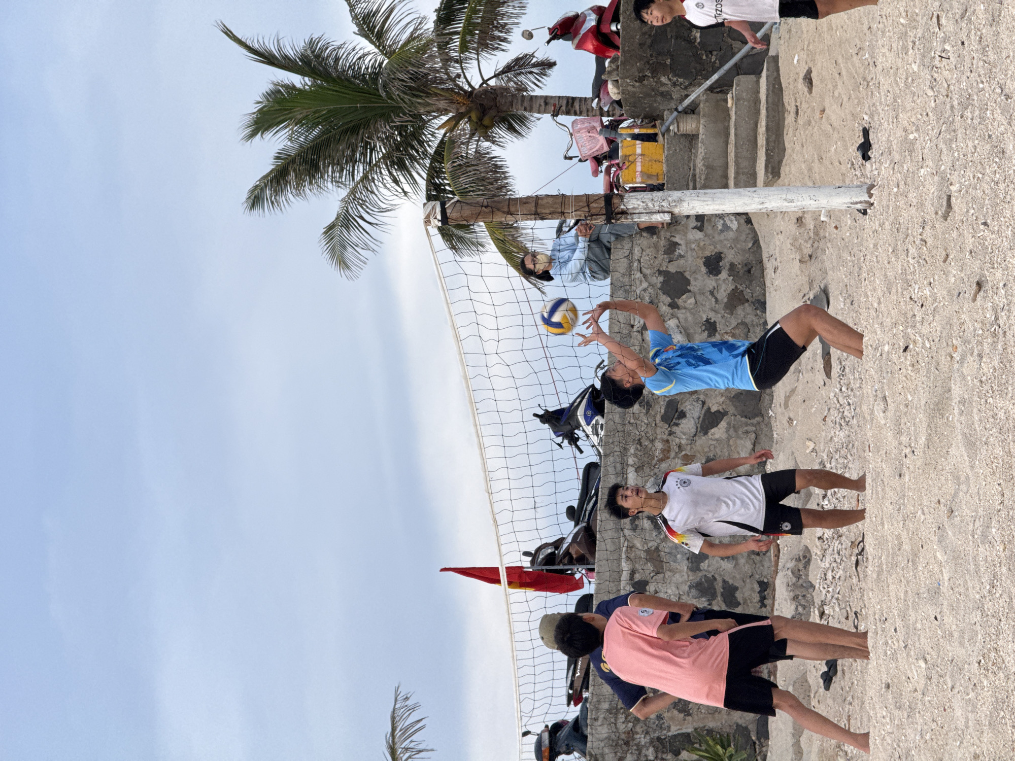 On a sandy beach in Ly Son, Vietnam, a group of young people are playing volleyball. The game is in progress, with a volleyball mid-air near the net, and players in motion. One player in a blue shirt is jumping to hit the ball, while others are positioned to receive or serve. The beach is lined with a low stone wall, on which a few motorcycles are parked, suggesting a coastal town or resort area. Behind the wall, a prominent palm tree stands tall against a pale blue sky. A Vietnamese flag is visible, adding to the sense of location. The overall scene depicts a casual, outdoor recreational activity on a warm day.