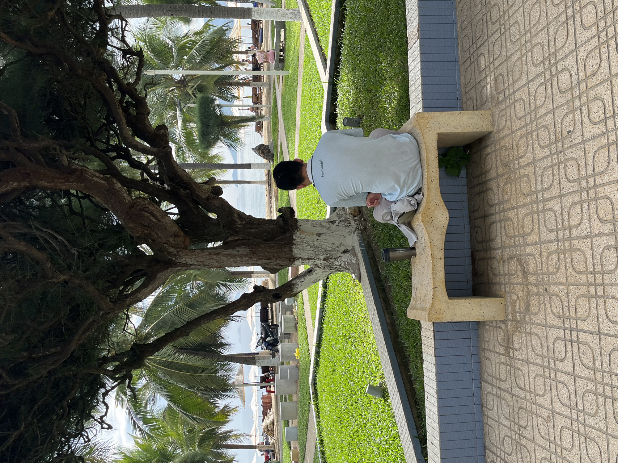 In Nha Trang, Vietnam, a man sits on a stone bench facing away from the camera, with his legs crossed. He wears a light blue t-shirt with the "Herbalife" logo visible on the back. Beside him on the bench, a dark grey water bottle and a folded grey garment are placed. The bench is positioned on a patterned tiled walkway. Behind the bench, a meticulously manicured green lawn is visible, bordered by a blue tiled wall. In the background, palm trees and a large, mature tree with a white-painted trunk dominate the scene. Beyond the greenery, a beach with white umbrellas and lounge chairs can be seen, leading to the ocean. The sky is bright, suggesting a daytime setting.