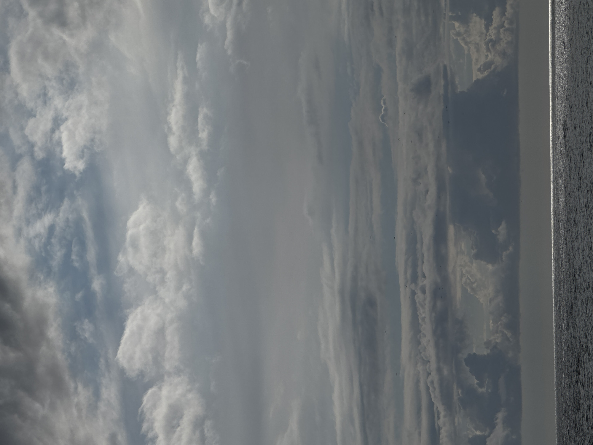 The image depicts a cloudy sky above what appears to be a body of water. The water is dark and textured, possibly reflecting the cloudy conditions. The clouds vary in density and form, with some appearing wispy and others more dense and gray. The scene has a subdued, overcast atmosphere. The location is not discernible from the image alone. Russia is not discernible. The city of Sirius is not discernible. There are what appears to be birds flying in the sky. The image appears to be rotated counterclockwise.